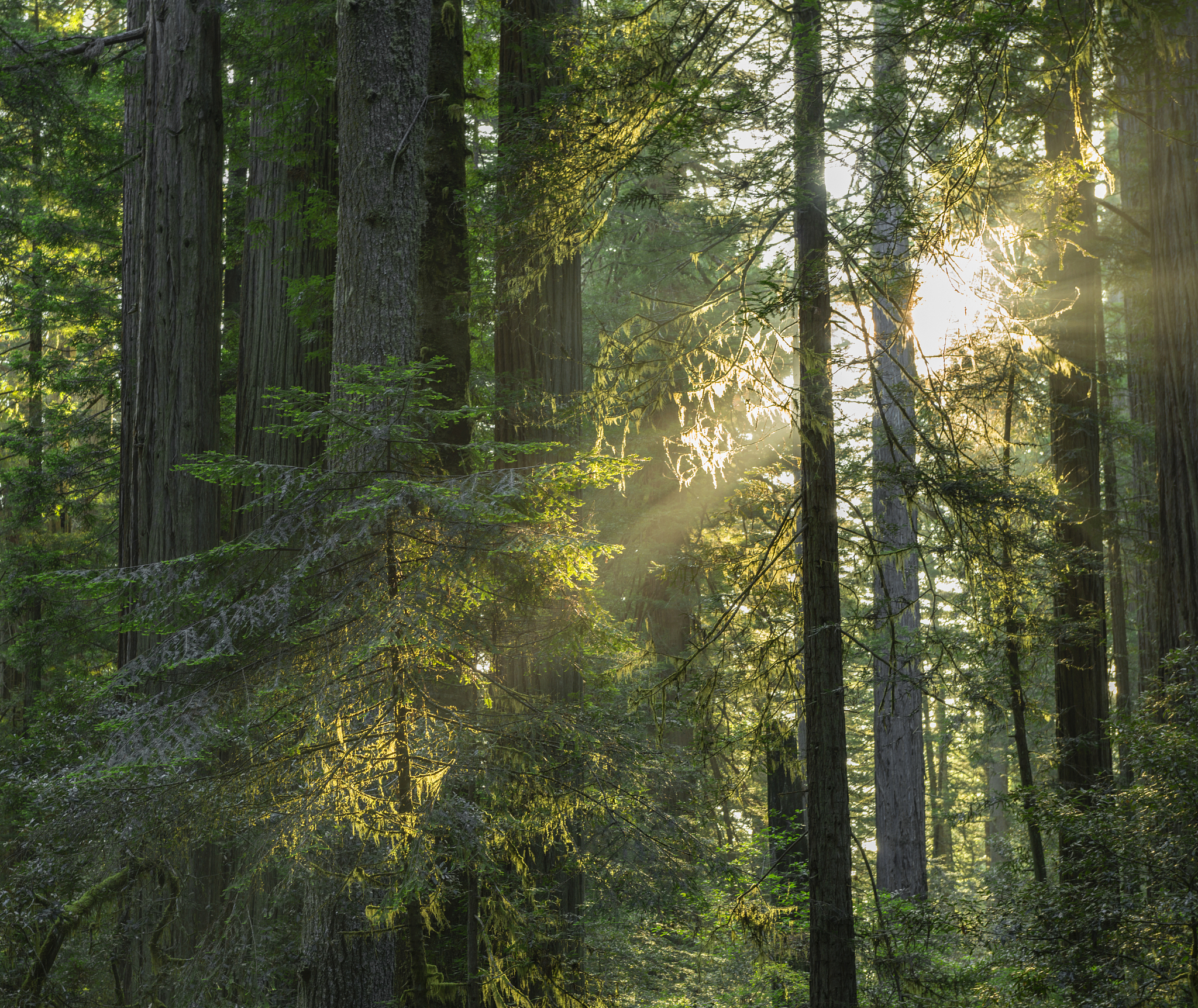 云南林业职业技术学院林学类专业介绍：培养森林资源管理、保护和开发人才
