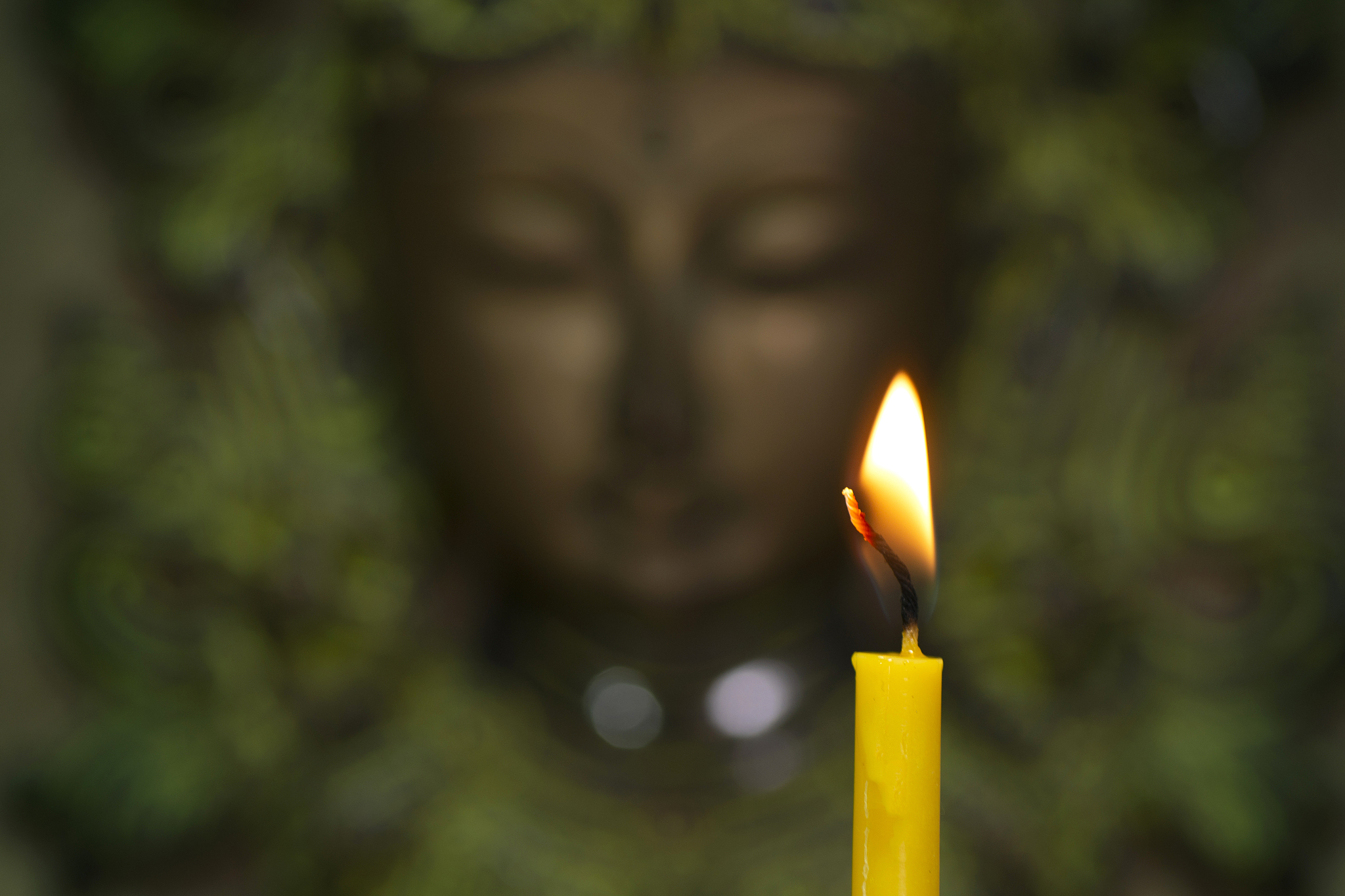 从世是什么意思_词语从世的意思