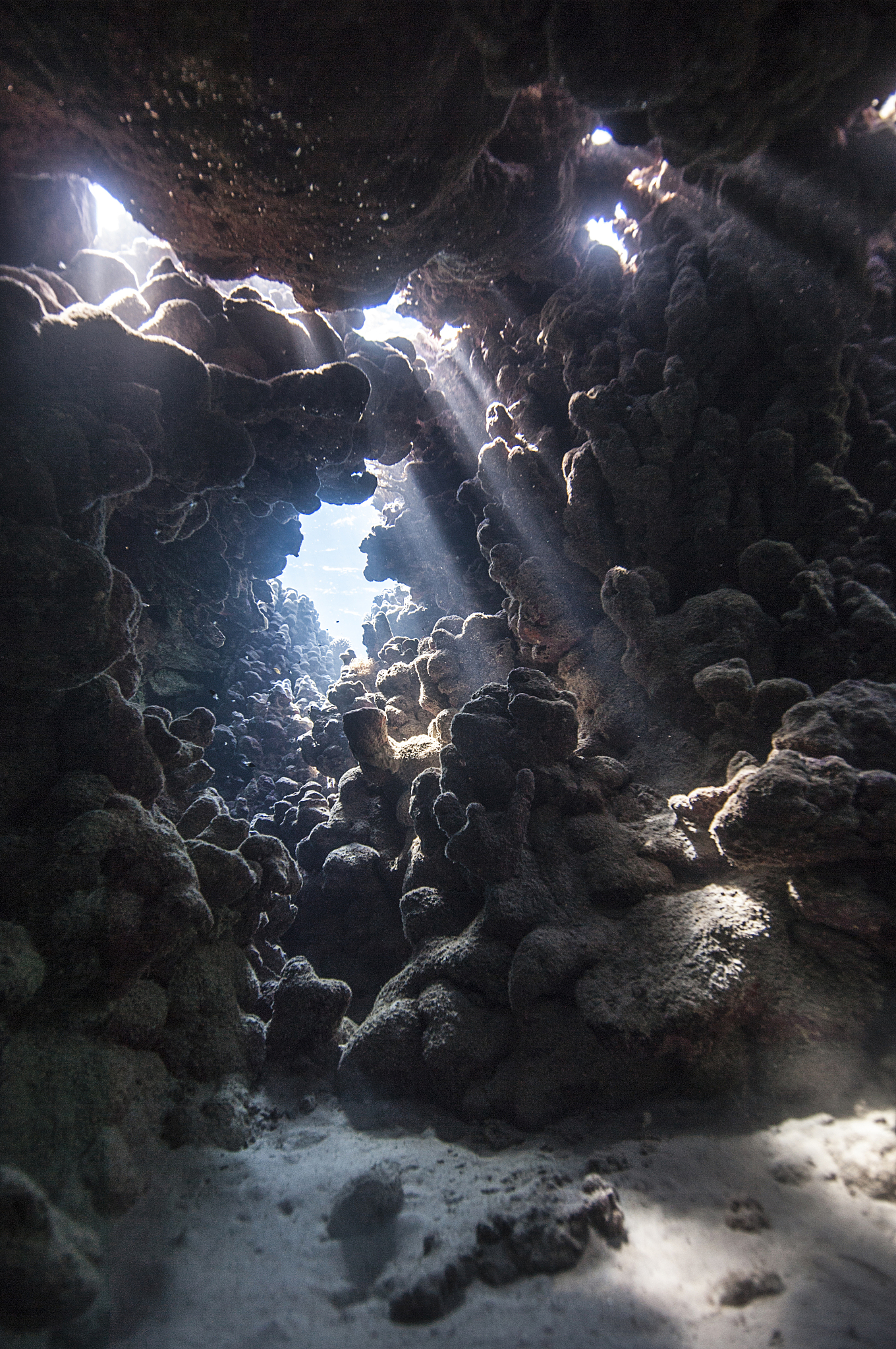 海洋地质资源与地球技术期刊投稿指南：稿件类型详解