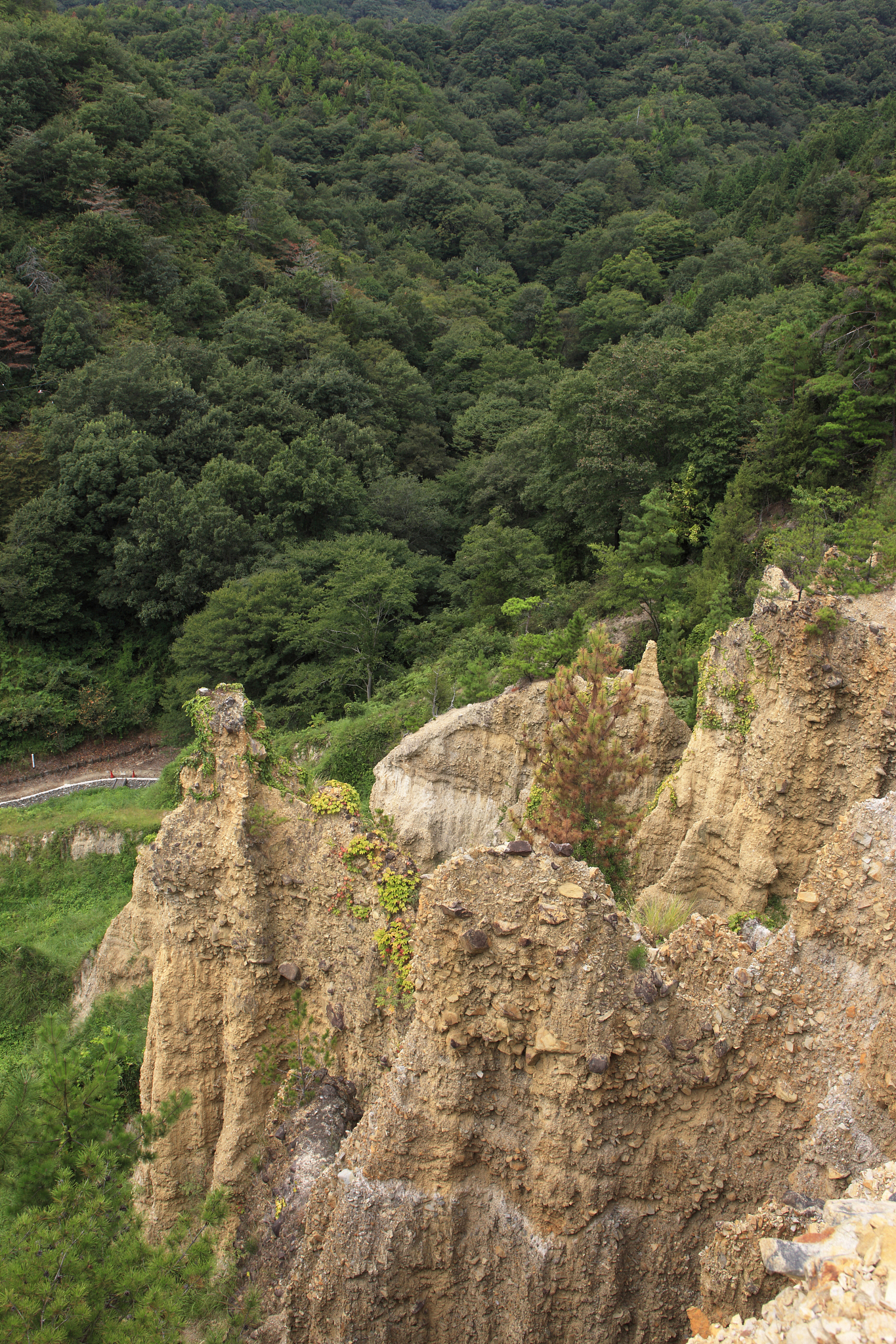 济南双龙山地质地貌实习：学习与实践的收获