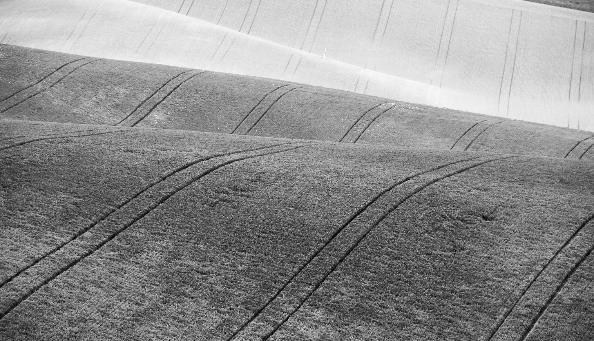 阐述灰色预测的主要特点600字