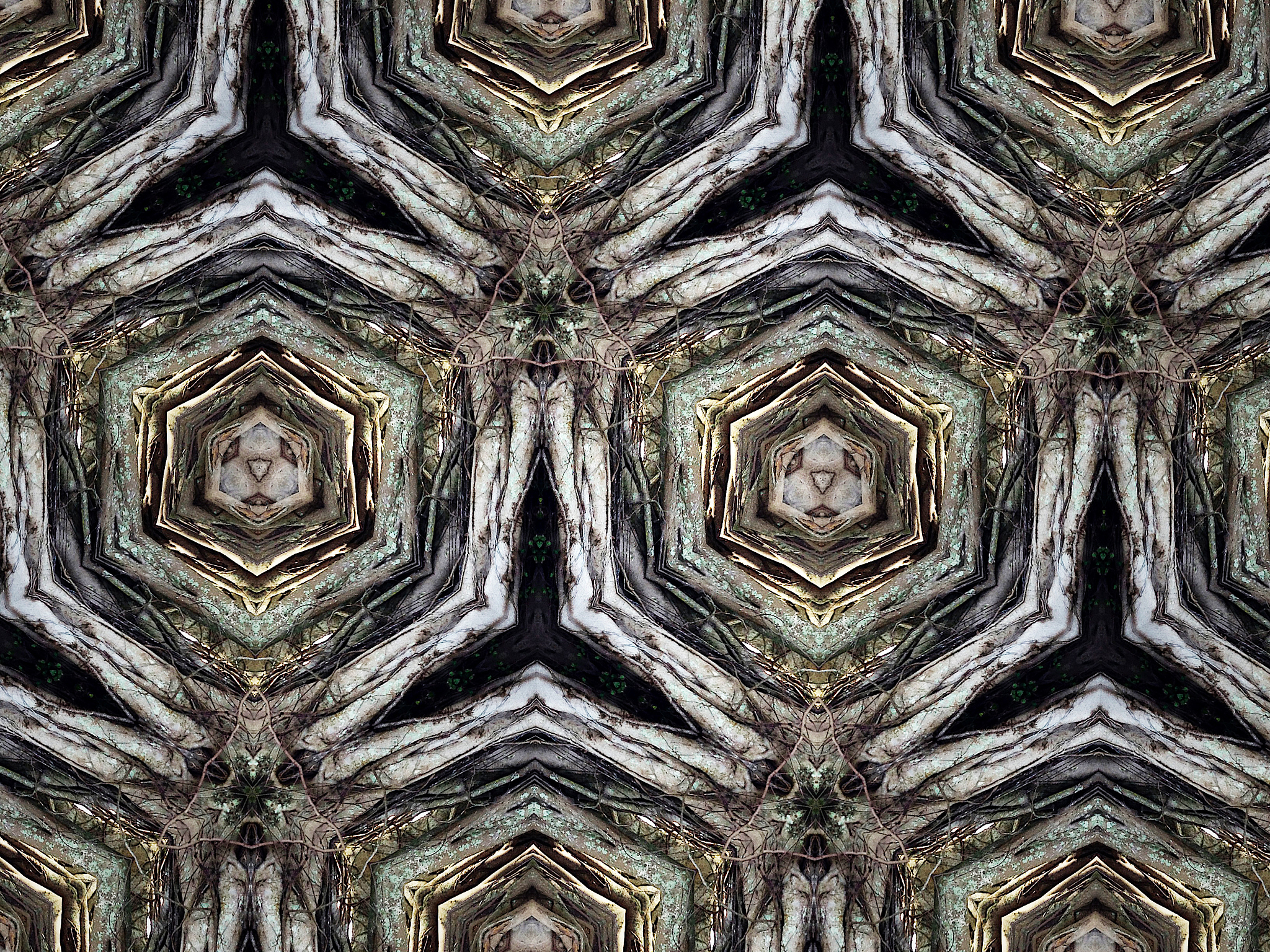 a和b是不同顺反子的突变基因型ab++和a++b的表型分别为A野生型和野生型B野生型和突变型C突变型和野生型D突变型和突变型