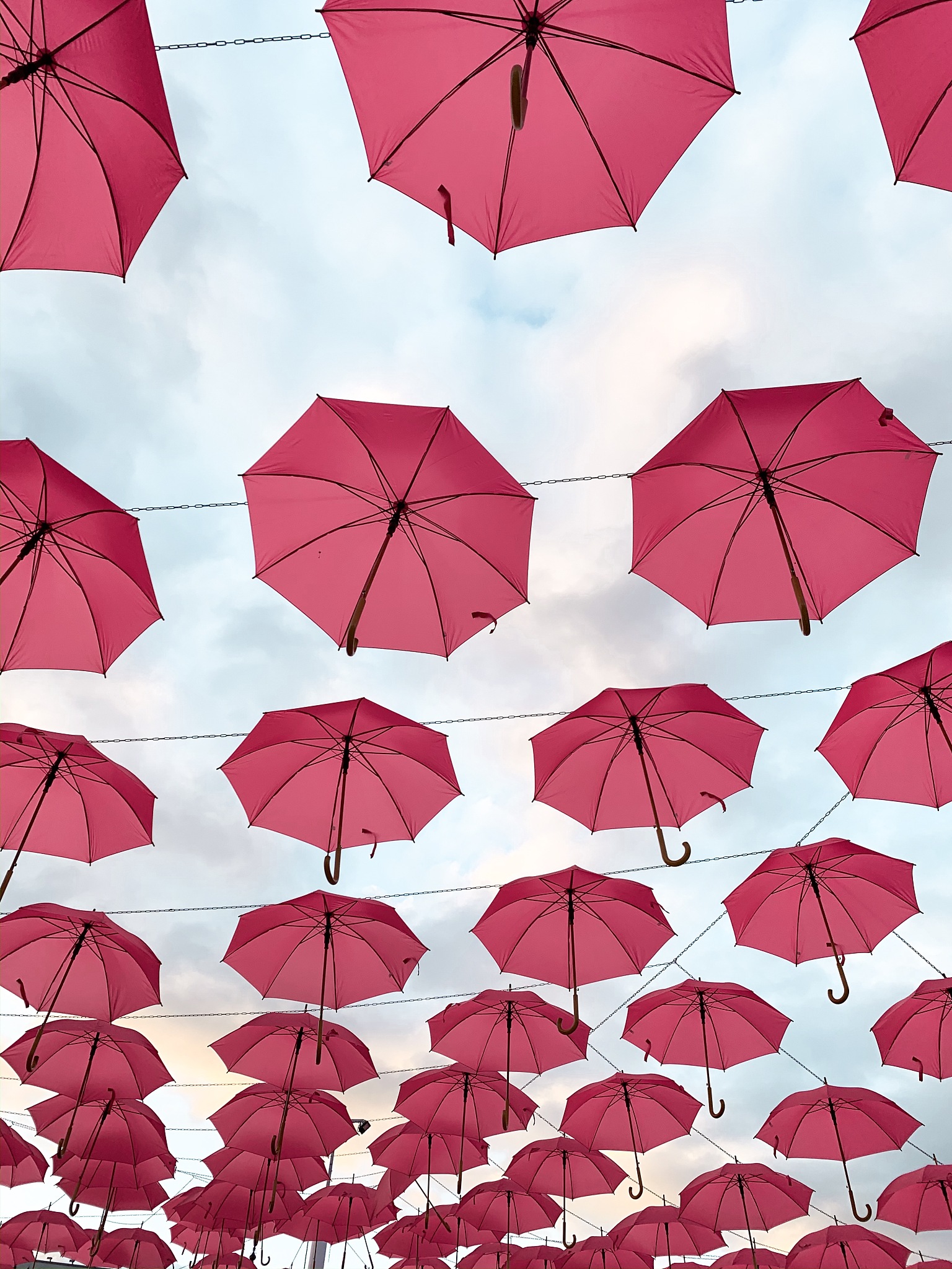 low angle view of red umbrellas hanging against sky