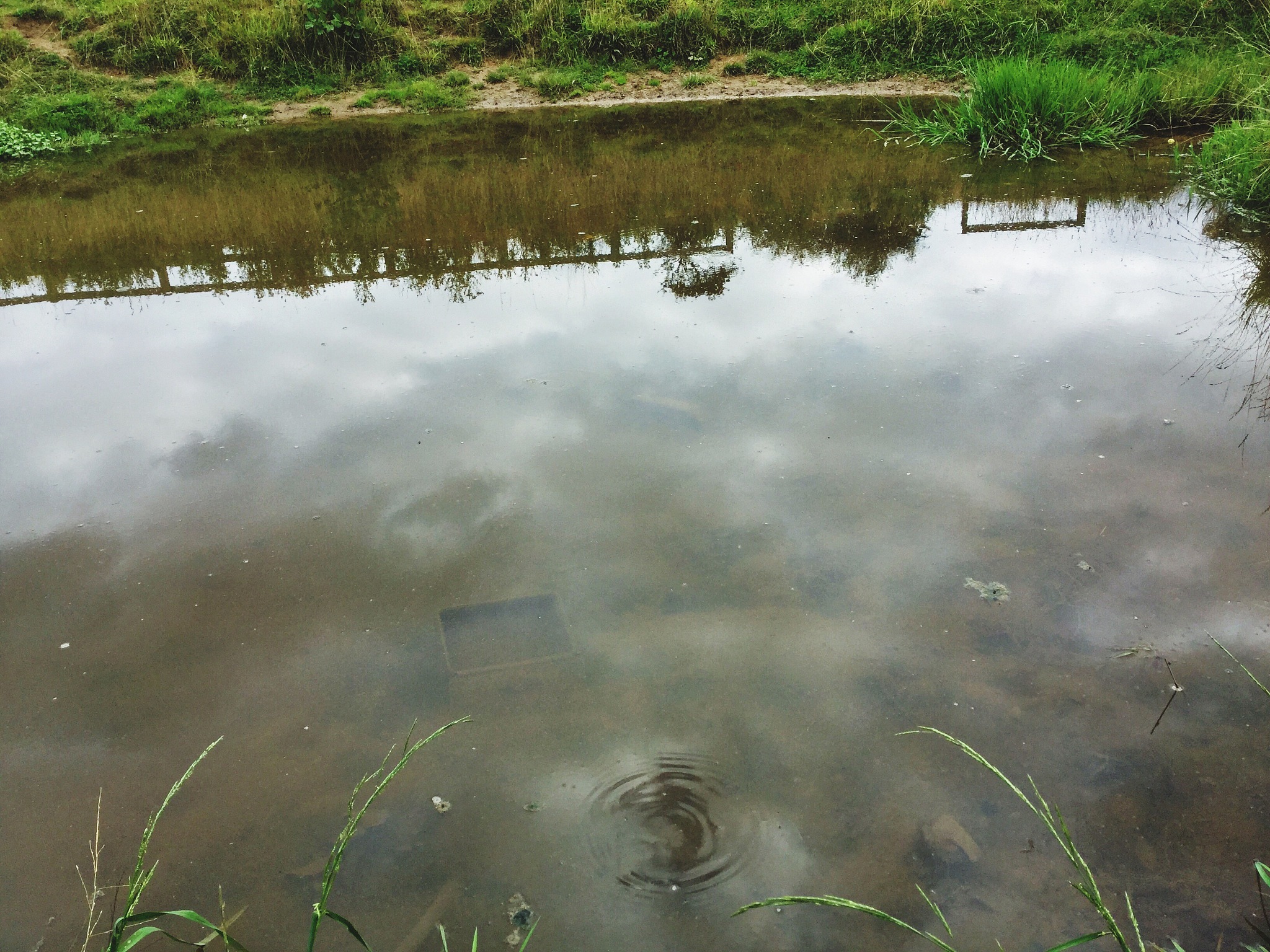 重庆鱼塘突现深坑，2万斤观赏鱼一夜消失！是自然灾害还是人为？