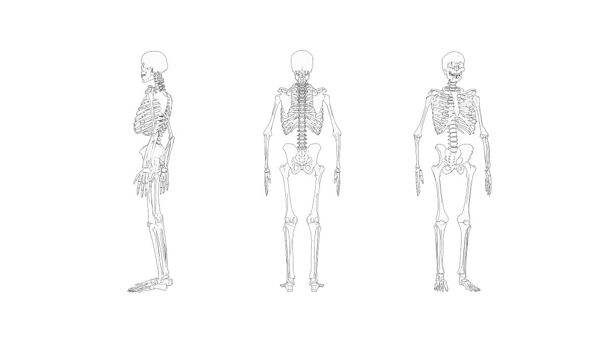 Python MediaPipe 视频人体骨架检测：将 1.mp4 处理为 2.mp4