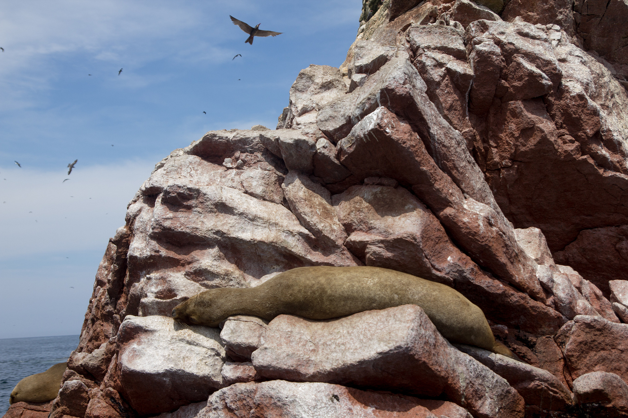 燃青春之光，聚生命之火：演讲稿