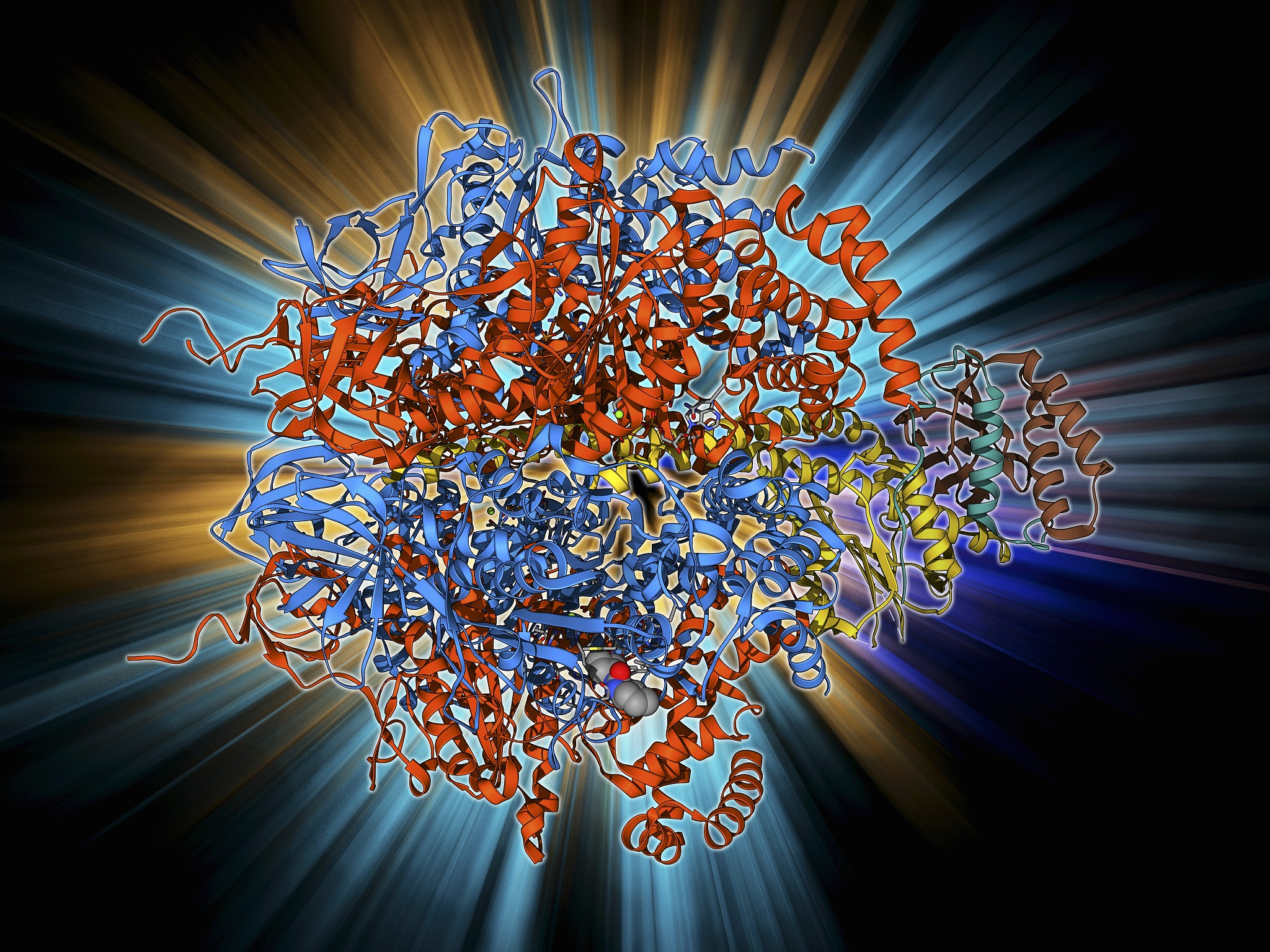INTRODUCTIONAdenosine as a product of the hydrolysis of extracellularadenosine triphosphate ATP is widely distributed in thehuman body Adenosine acts as an endogenous ligand andexerts a variety of fun