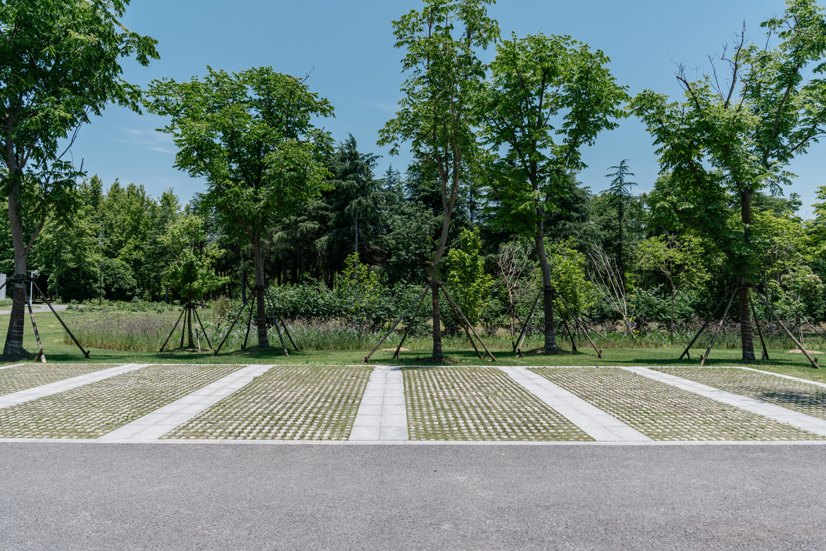 绿化停车场建设原则