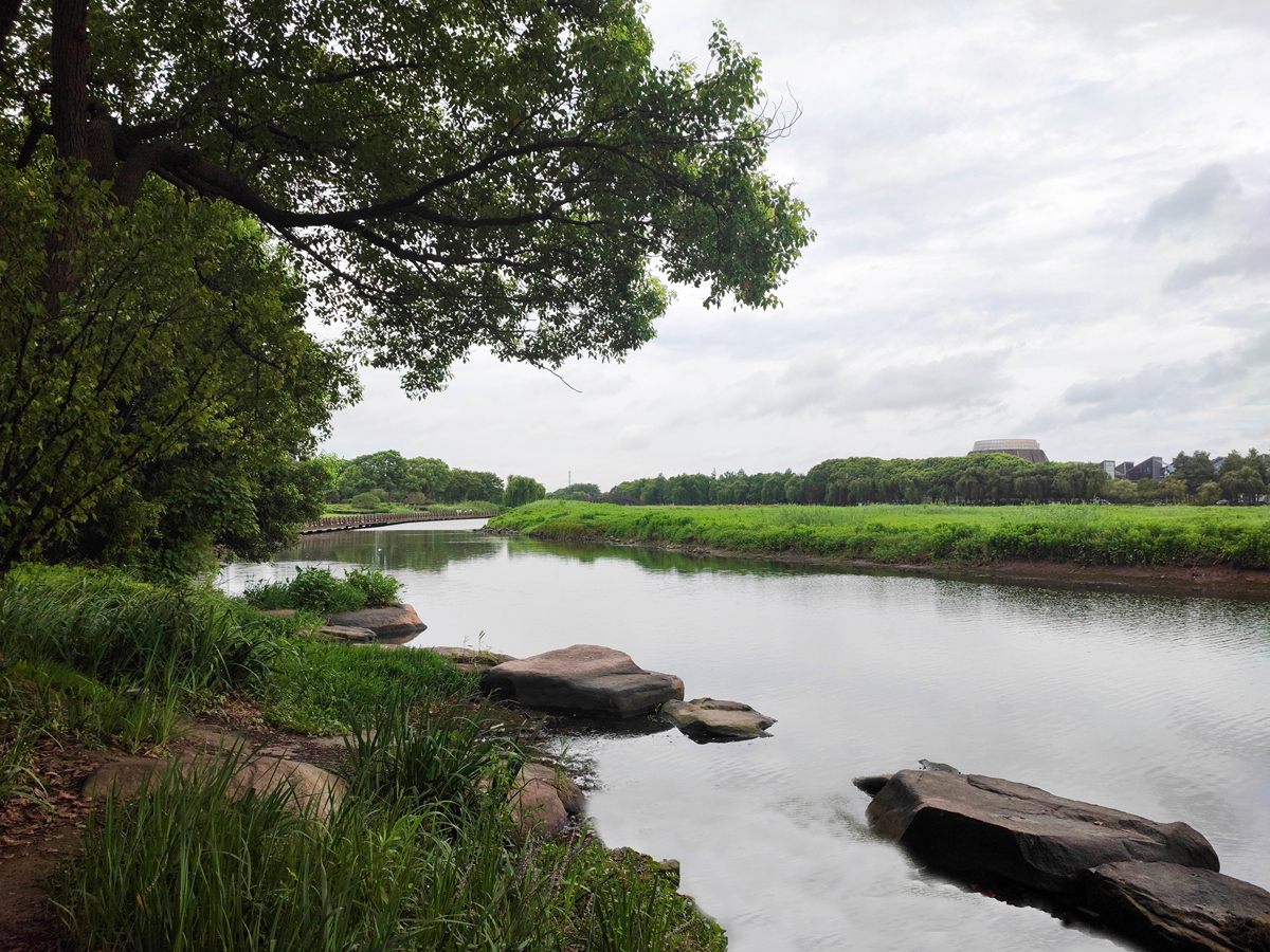 你可以具体说一说萧山河道围垦工程的代表工程吗