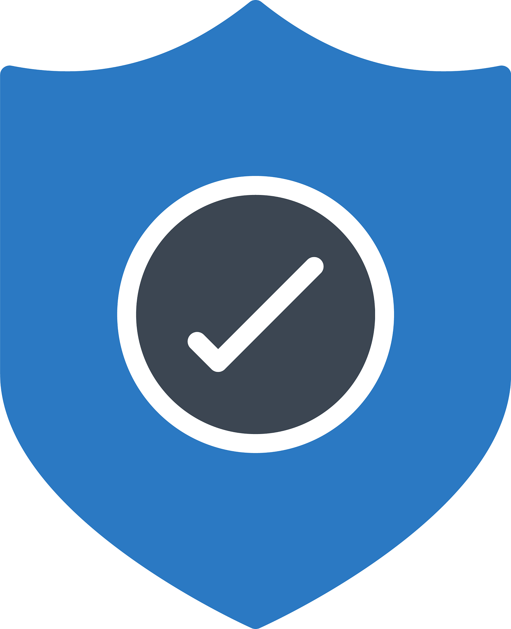 check security