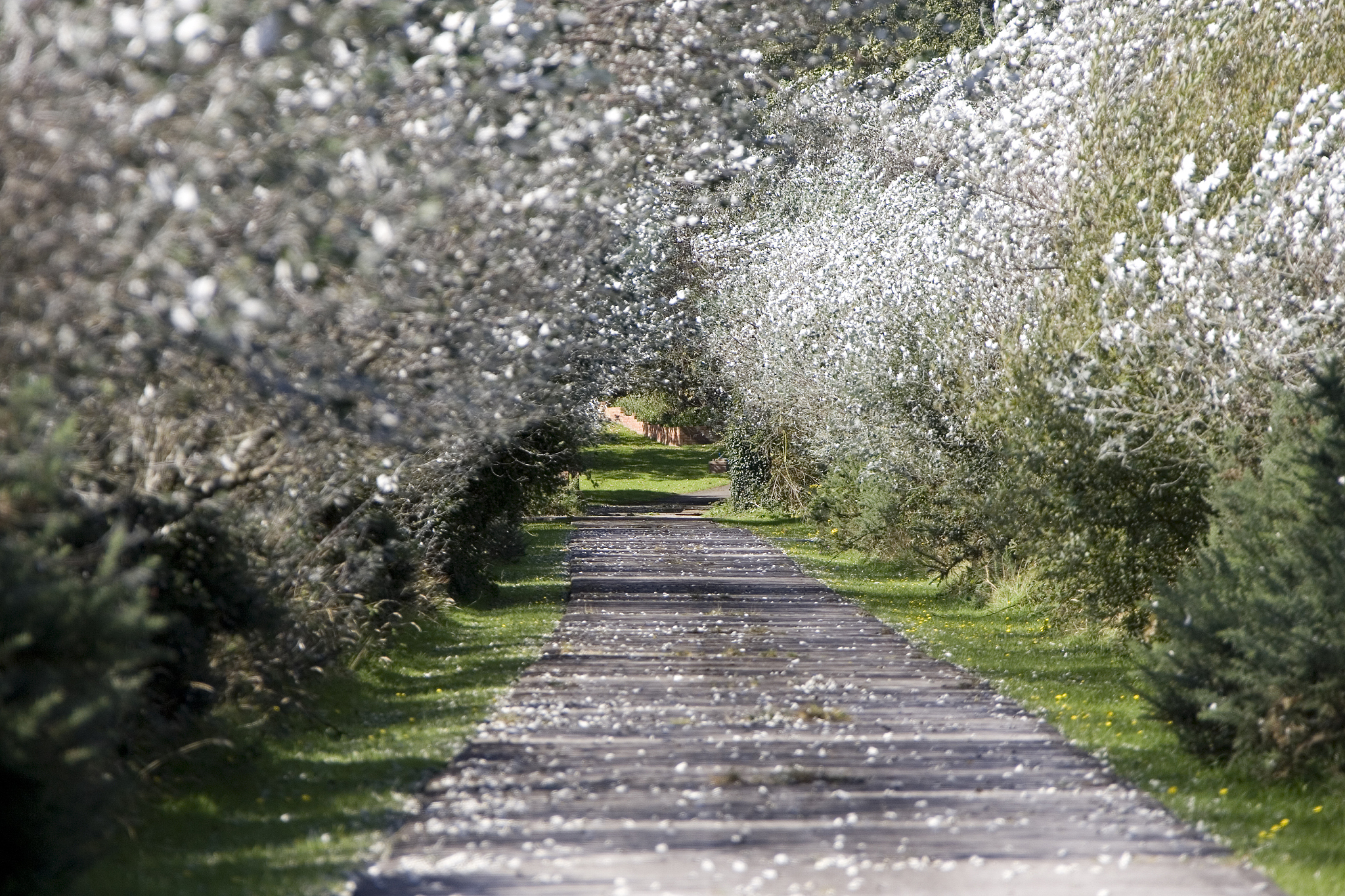 动漫电影《通往夏天的隧道再见的出口》