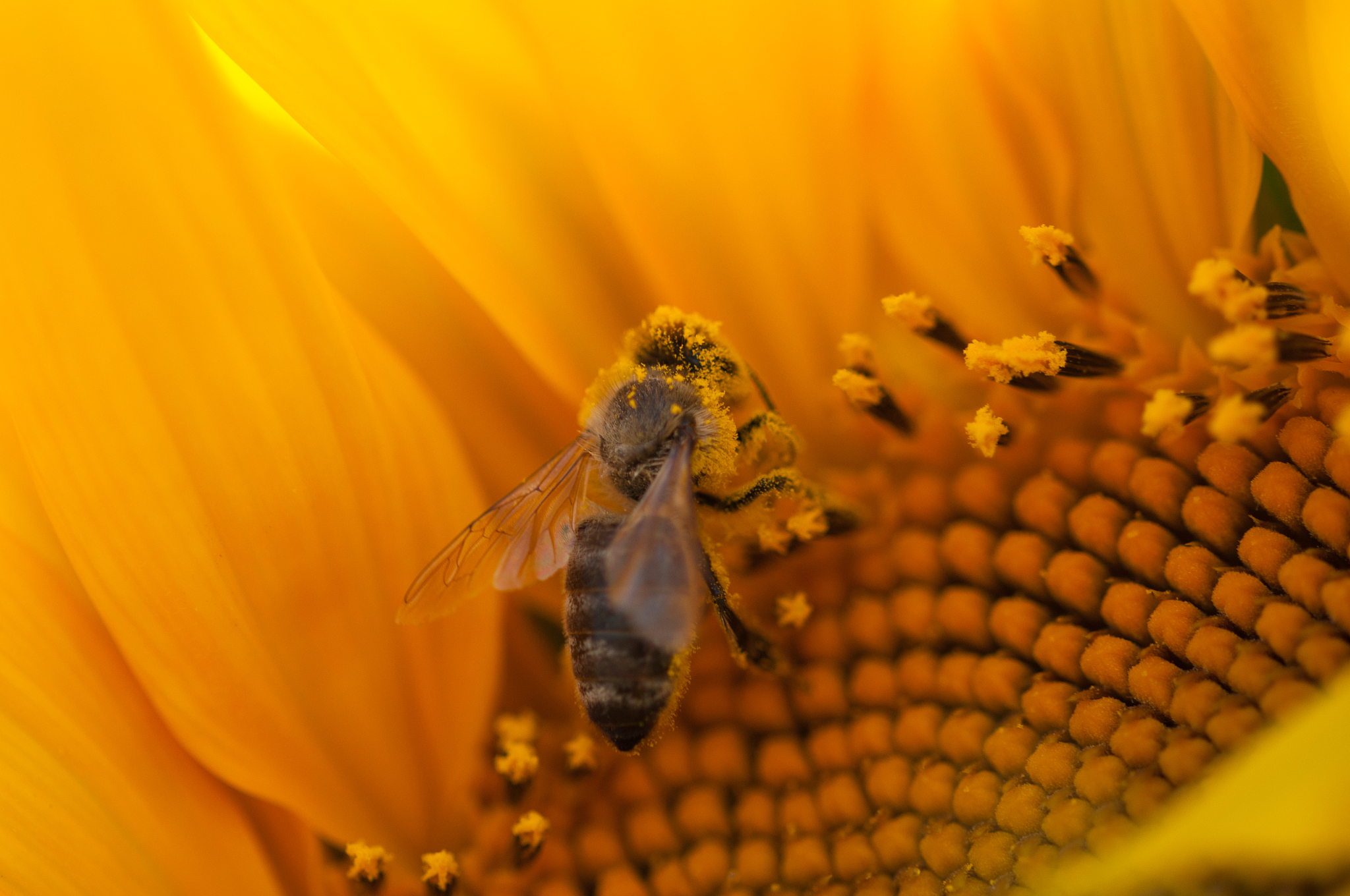 human 使用Linux系统的常用指令;