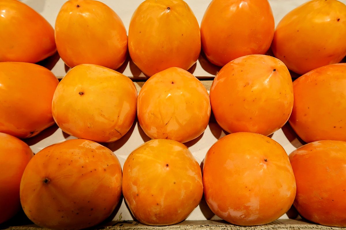 阜阳的特产有什么