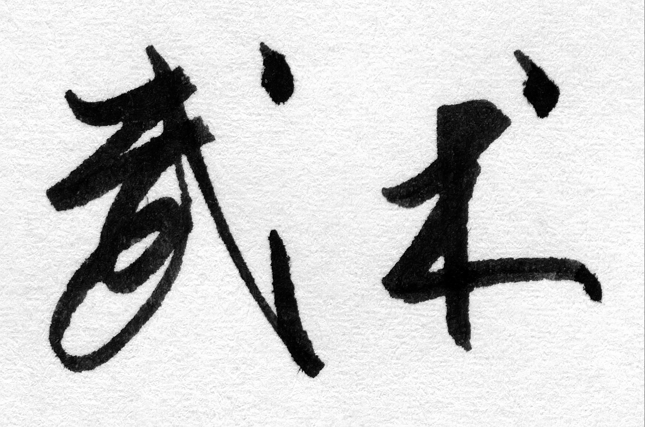 chinese script wushu