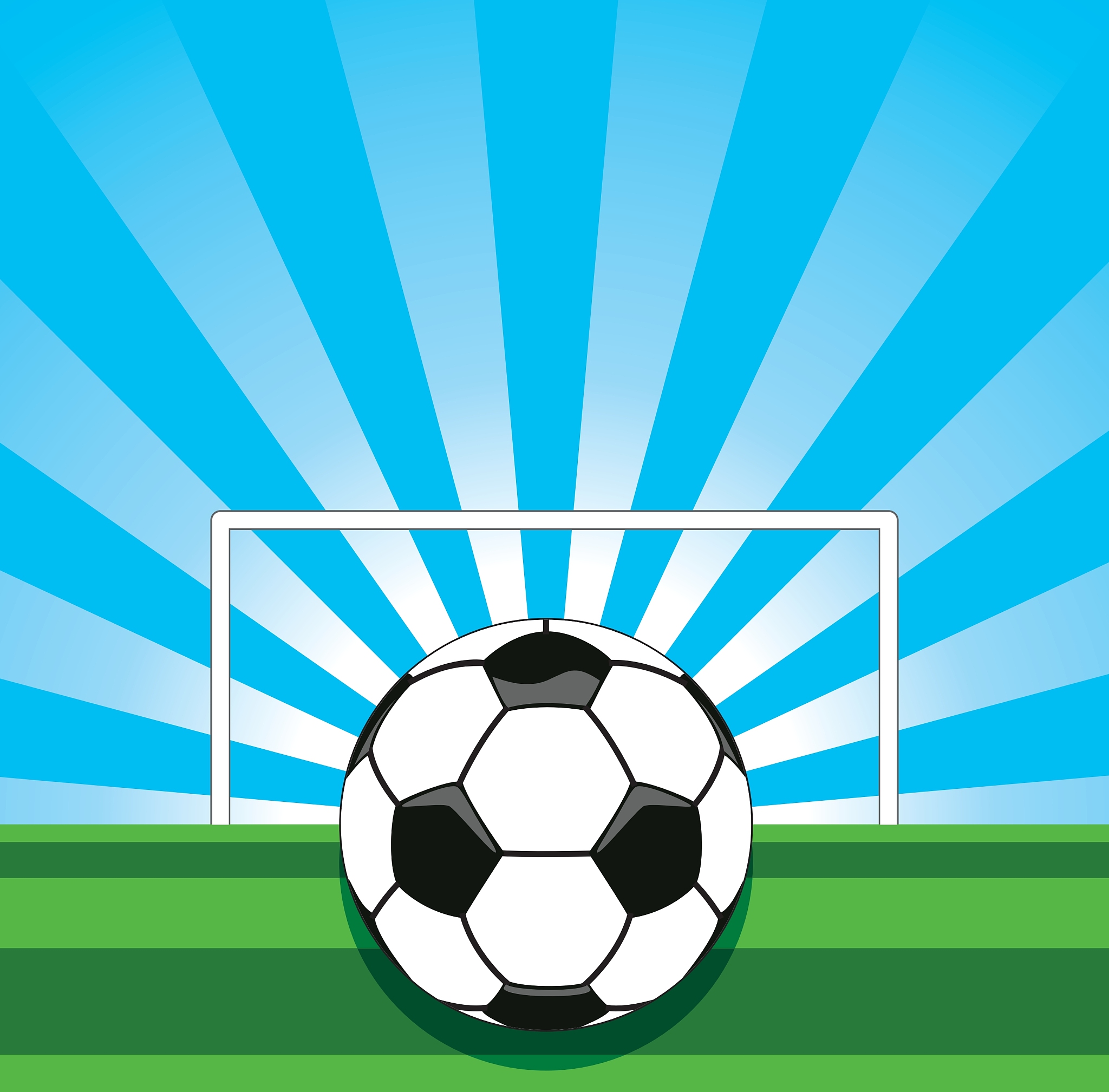 soccer ball on the field