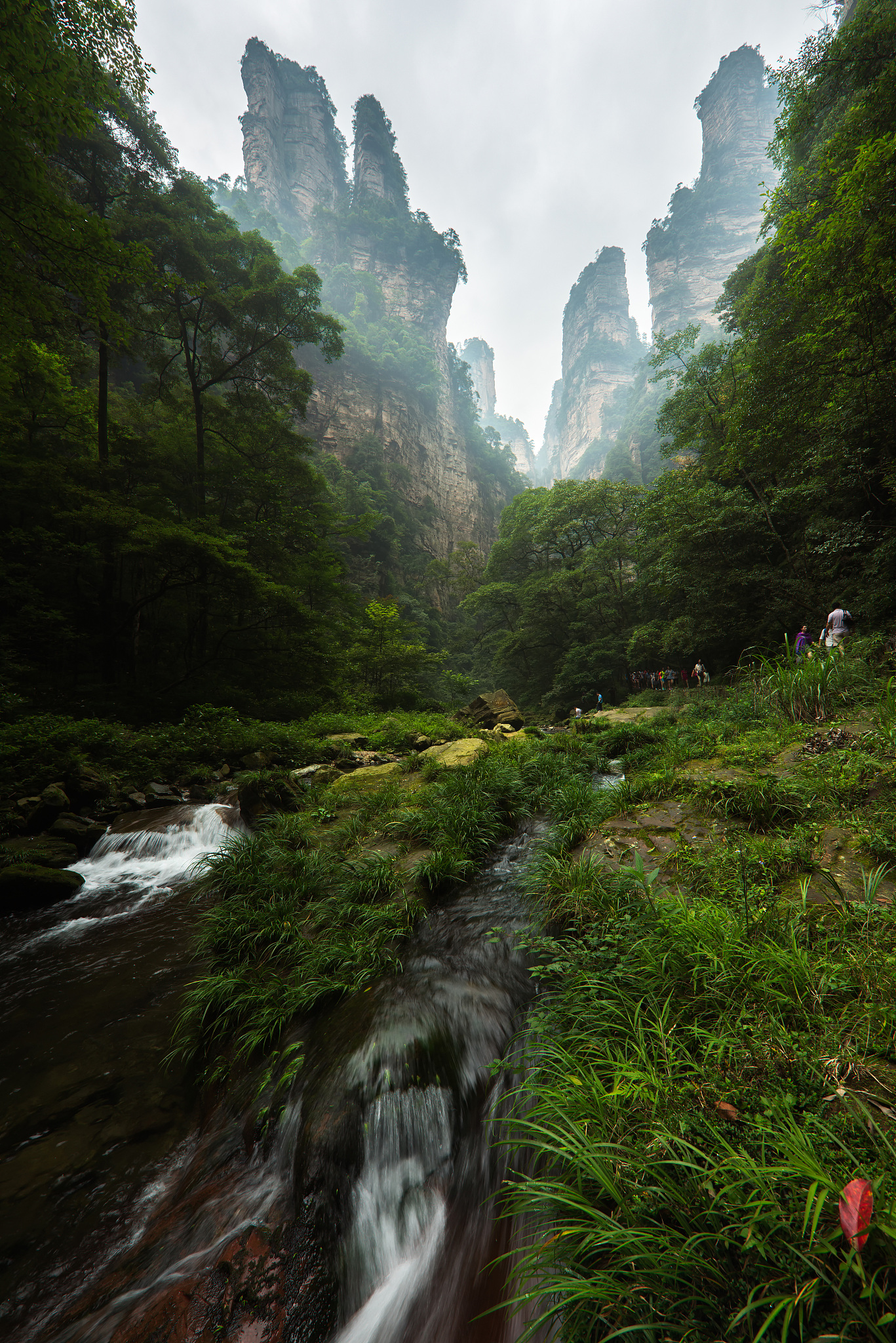 移步换景法写一处风景