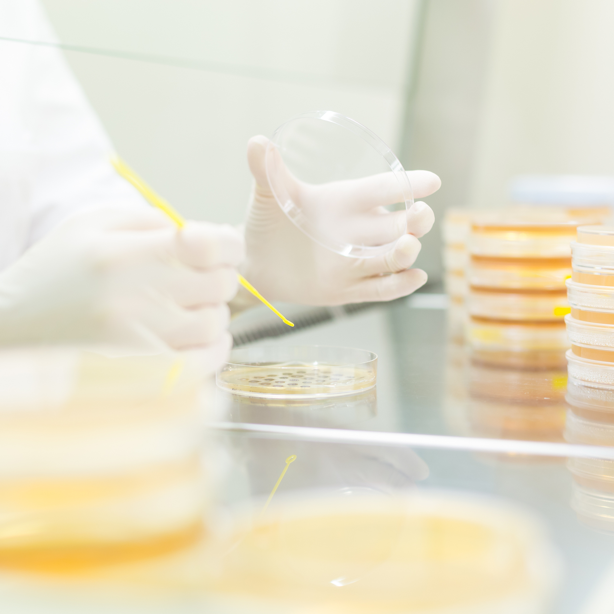 吕梁学院食品科学与工程专业设置：食品科学与工程、食品质量与安全、食品营养与健康、食品工艺与设备