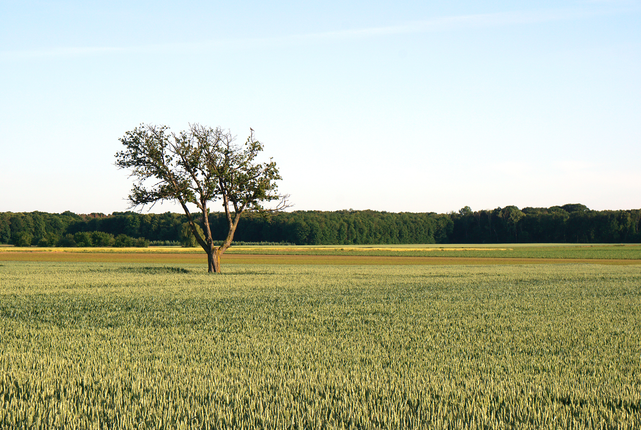 曲靖市农业职业学校2019年五年制大专热门招生专业 - 农业专业人才培养的摇篮