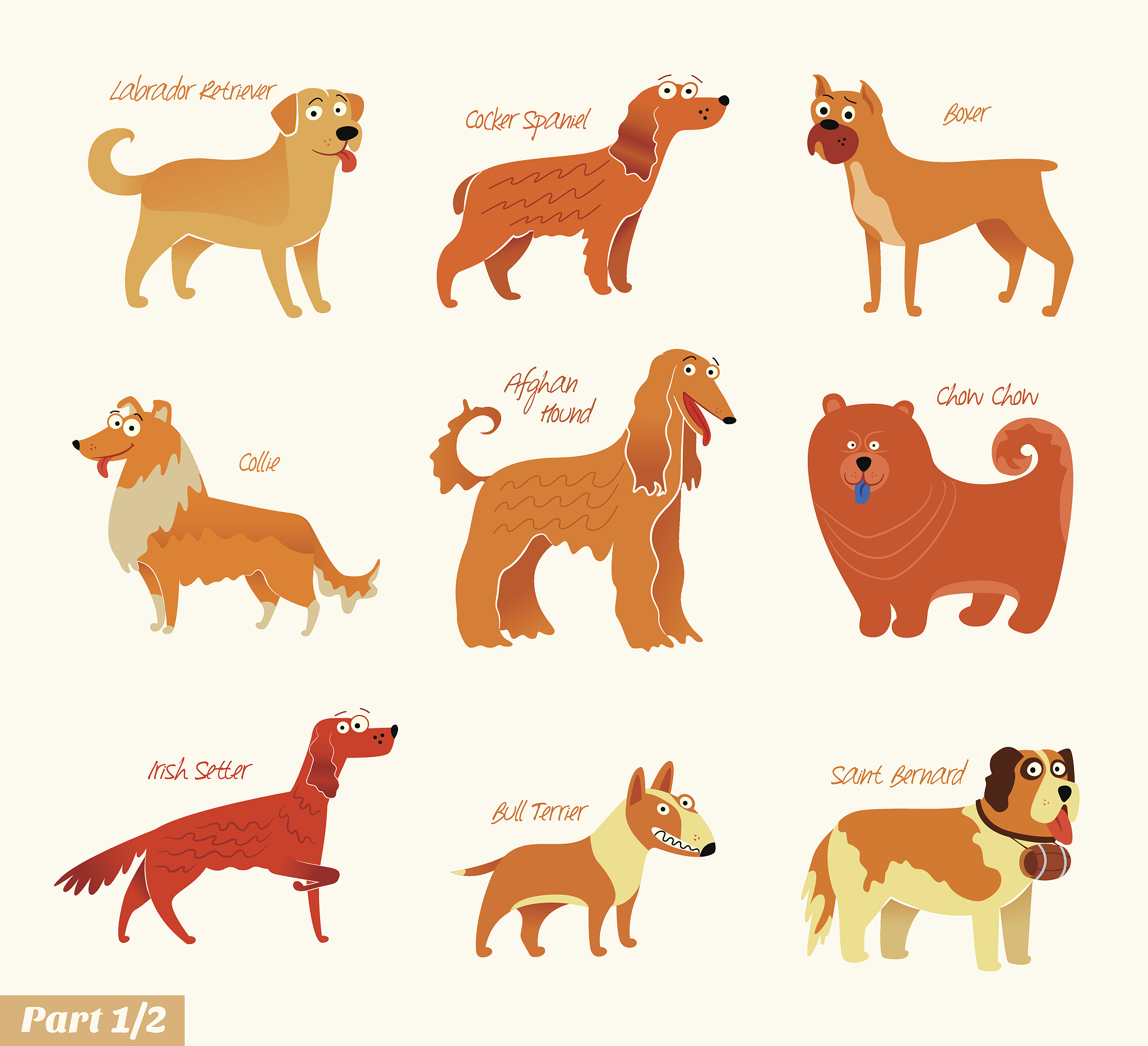 回答以下英文问题简单一些小学水平语法准确：What’s your favorite animalWhy？What is the most popular pet in ChinaHave you ever had a pet beforeWhere do you prefer to keep your petindoors or outdoors