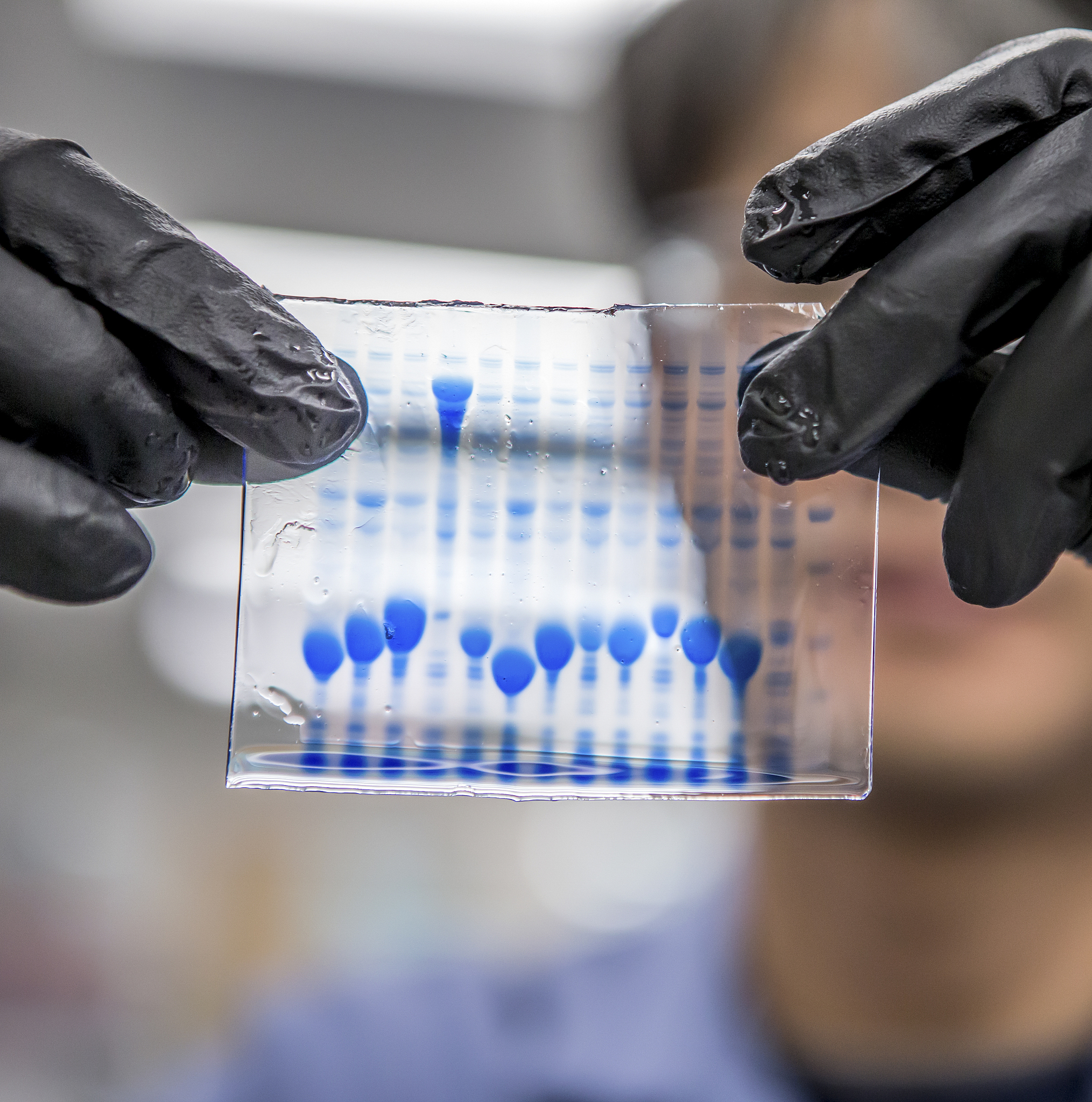 基体标准物质的优点