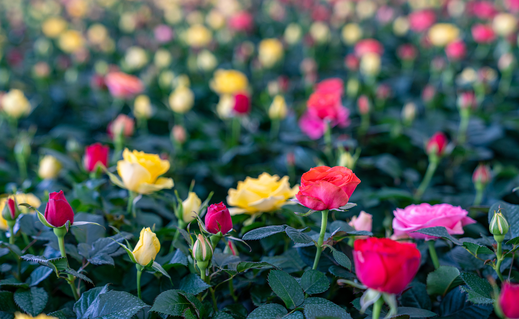 昆明铁路学校受这么多学生欢迎是为哪般