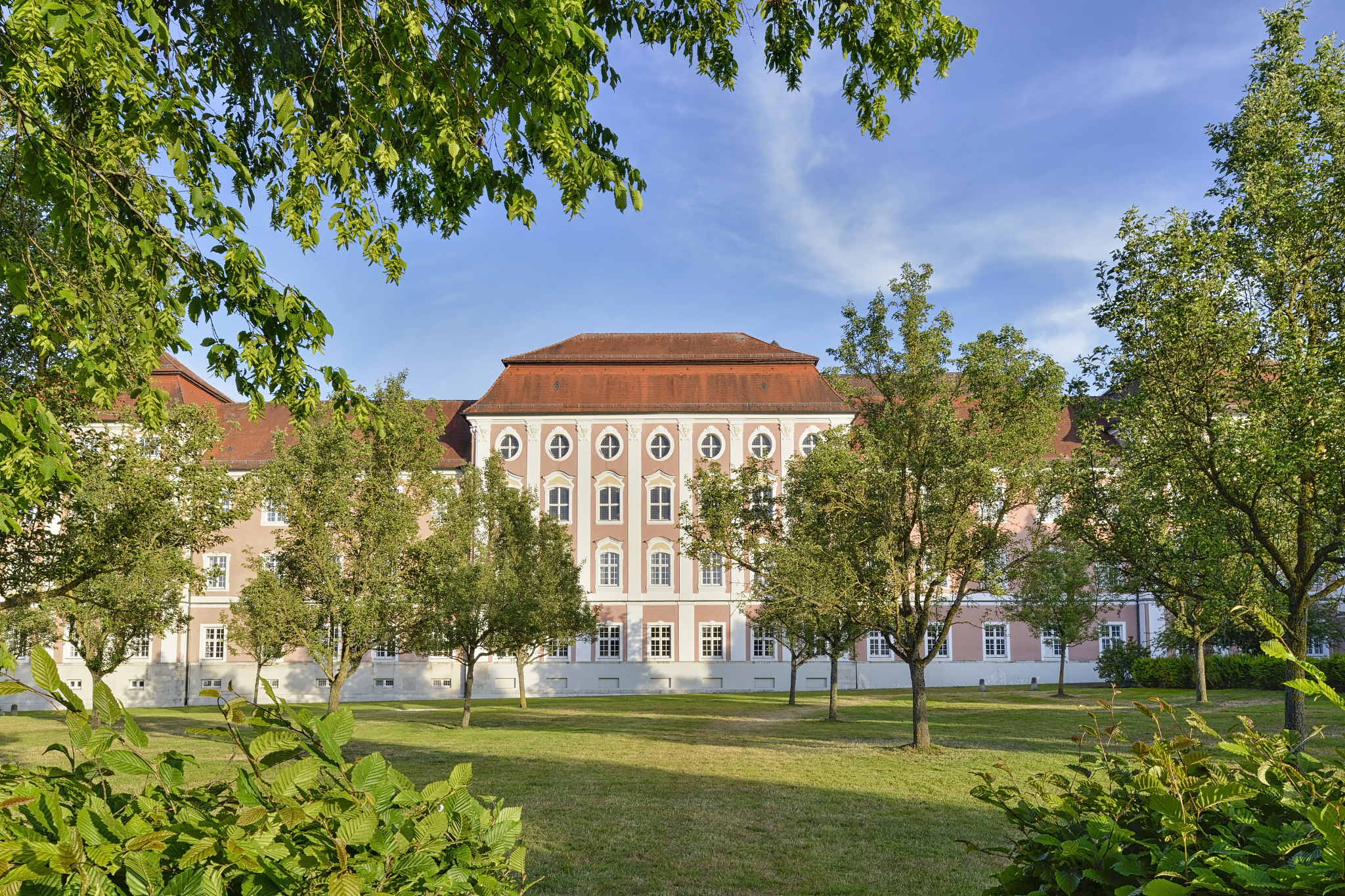 germany, baden-wuerttemberg, ulm, wiblingen abbey with meadow