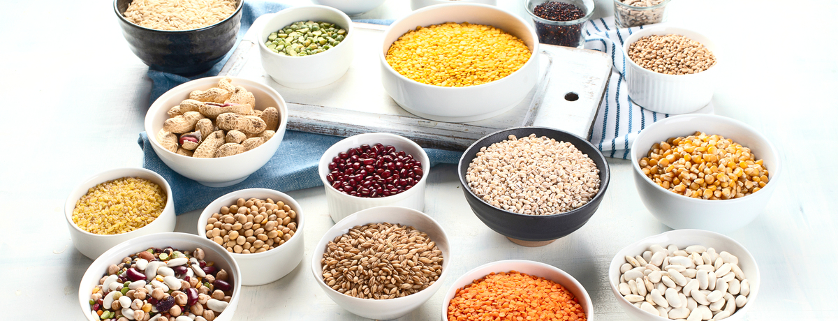 燕麦小米豆浆的做法_燕麦小米豆浆怎么做