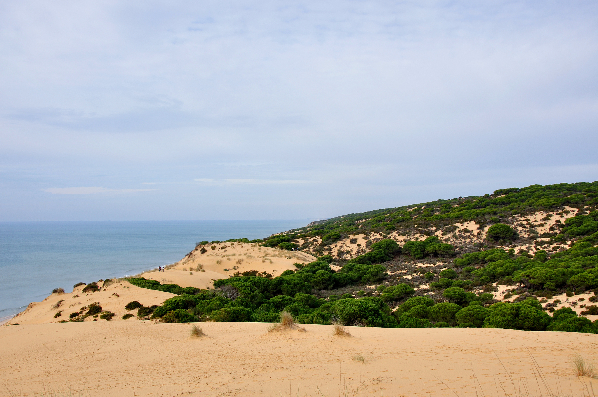 do?±ana national park