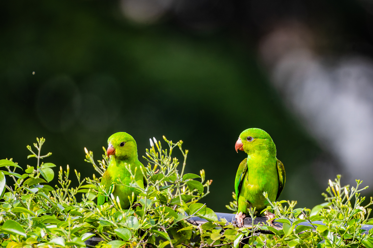 3500元极致性价比电脑主机配置单：办公游戏两不误