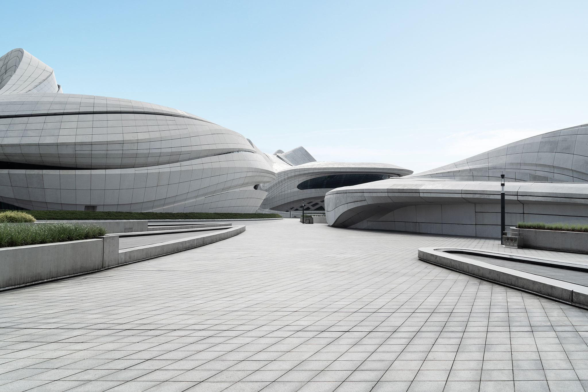 如果是一个艺术机构的执行董事拟一个项目申报如何写