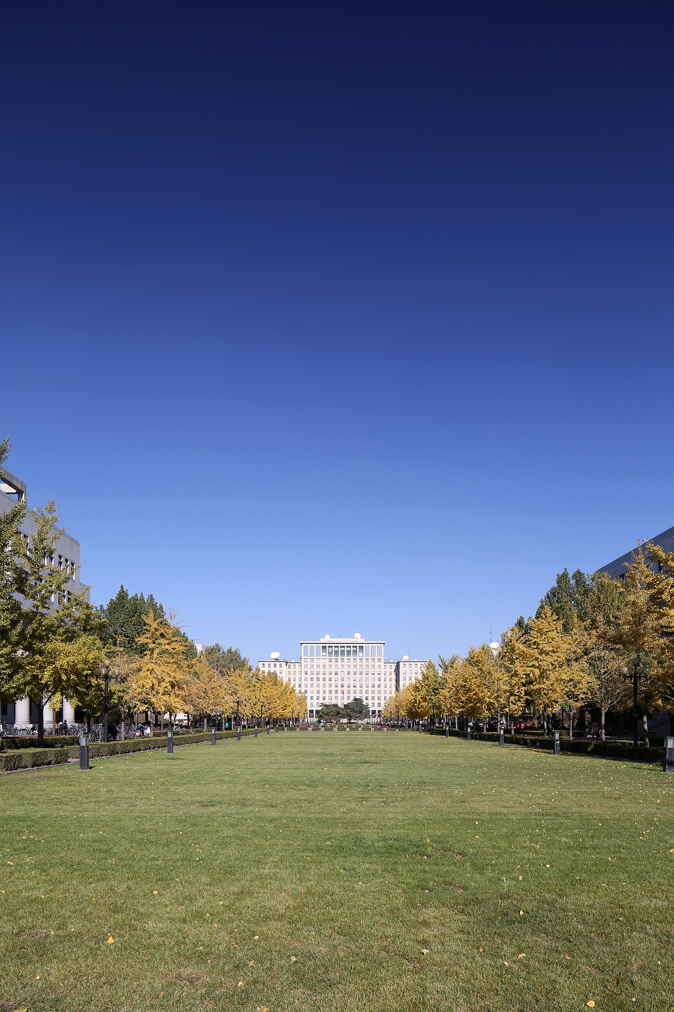 清华大学
