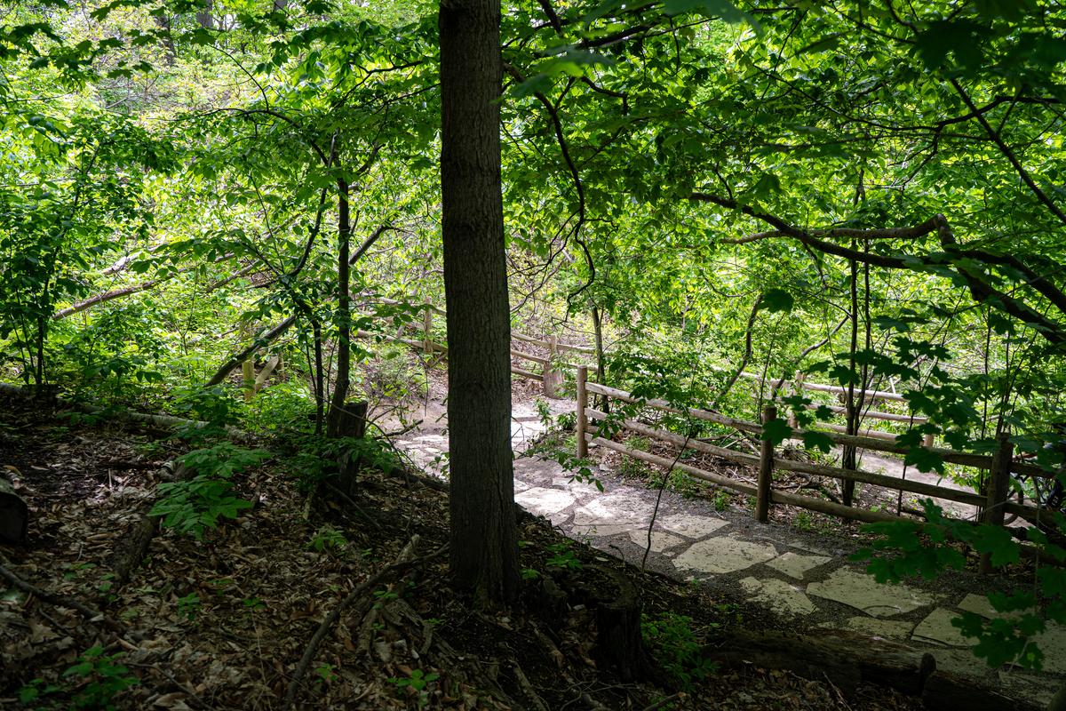 🌳🌲🌿逃离都市喧嚣！我在山林中找到了内心的平静🌿🌲🌳