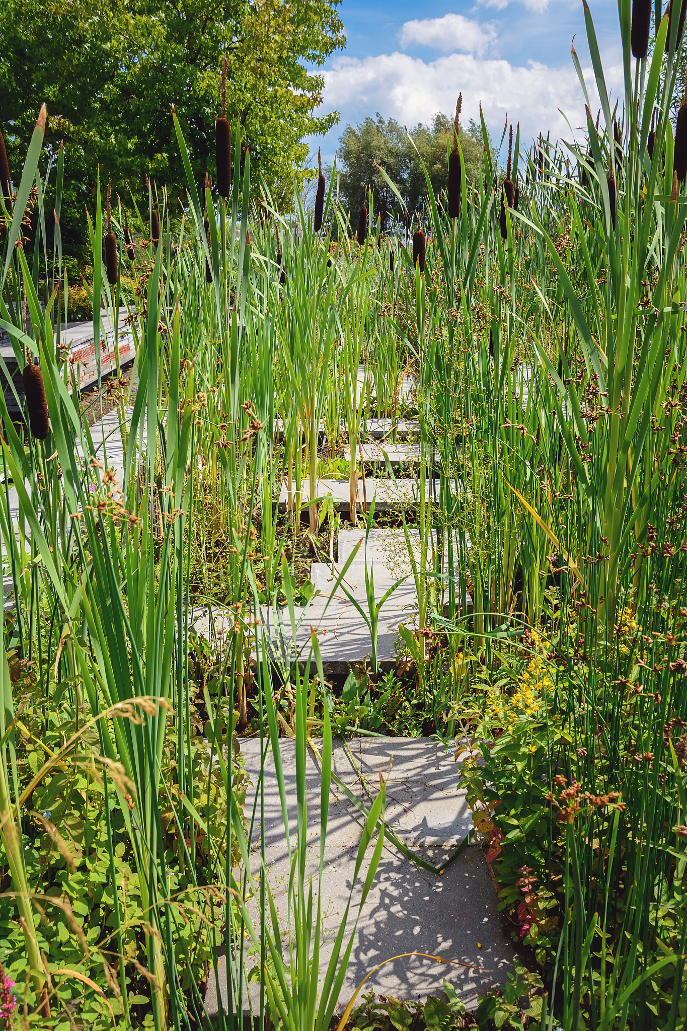 青岛园林学校2021年招生简章