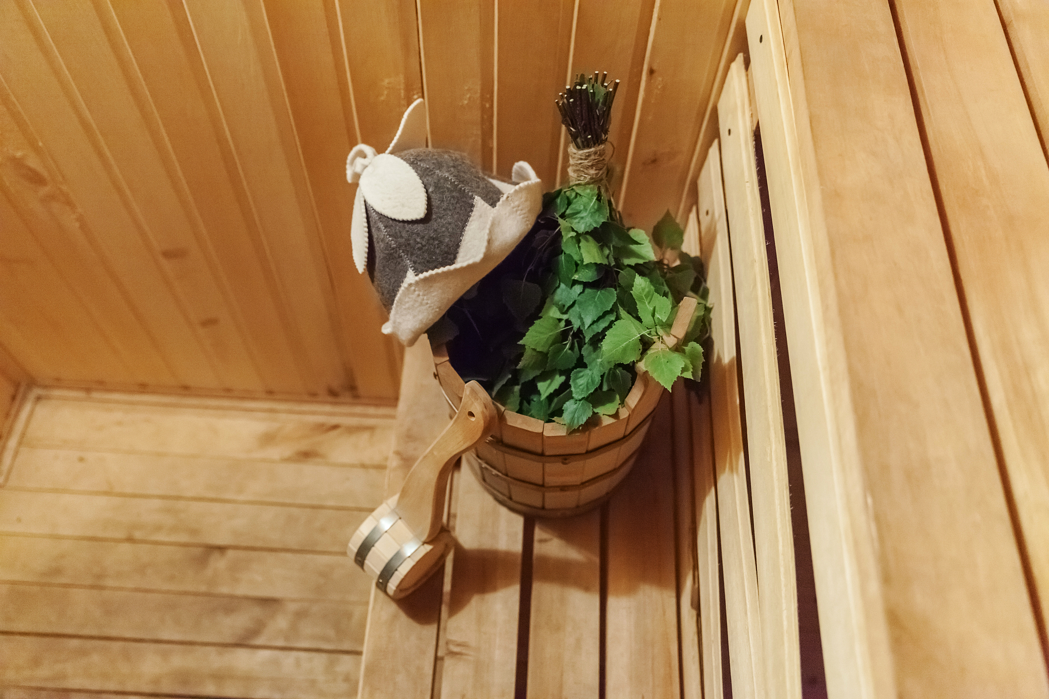 芬兰桑拿：文化传统、健康益处及社交体验 | Finnish Sauna: Cultural Tradition, Health Benefits, and Social Experience