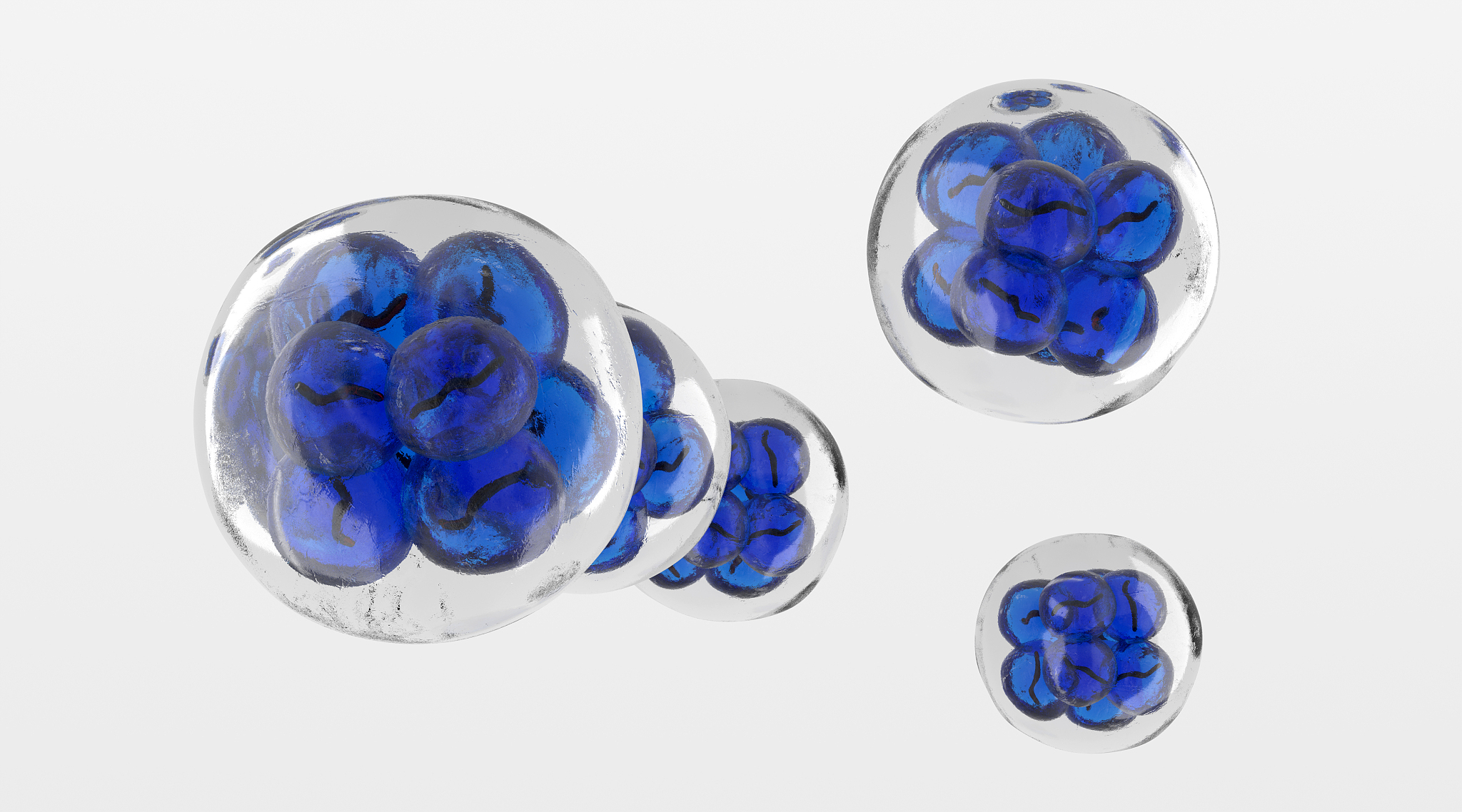 西畴县职业高级中学2022年招生简章