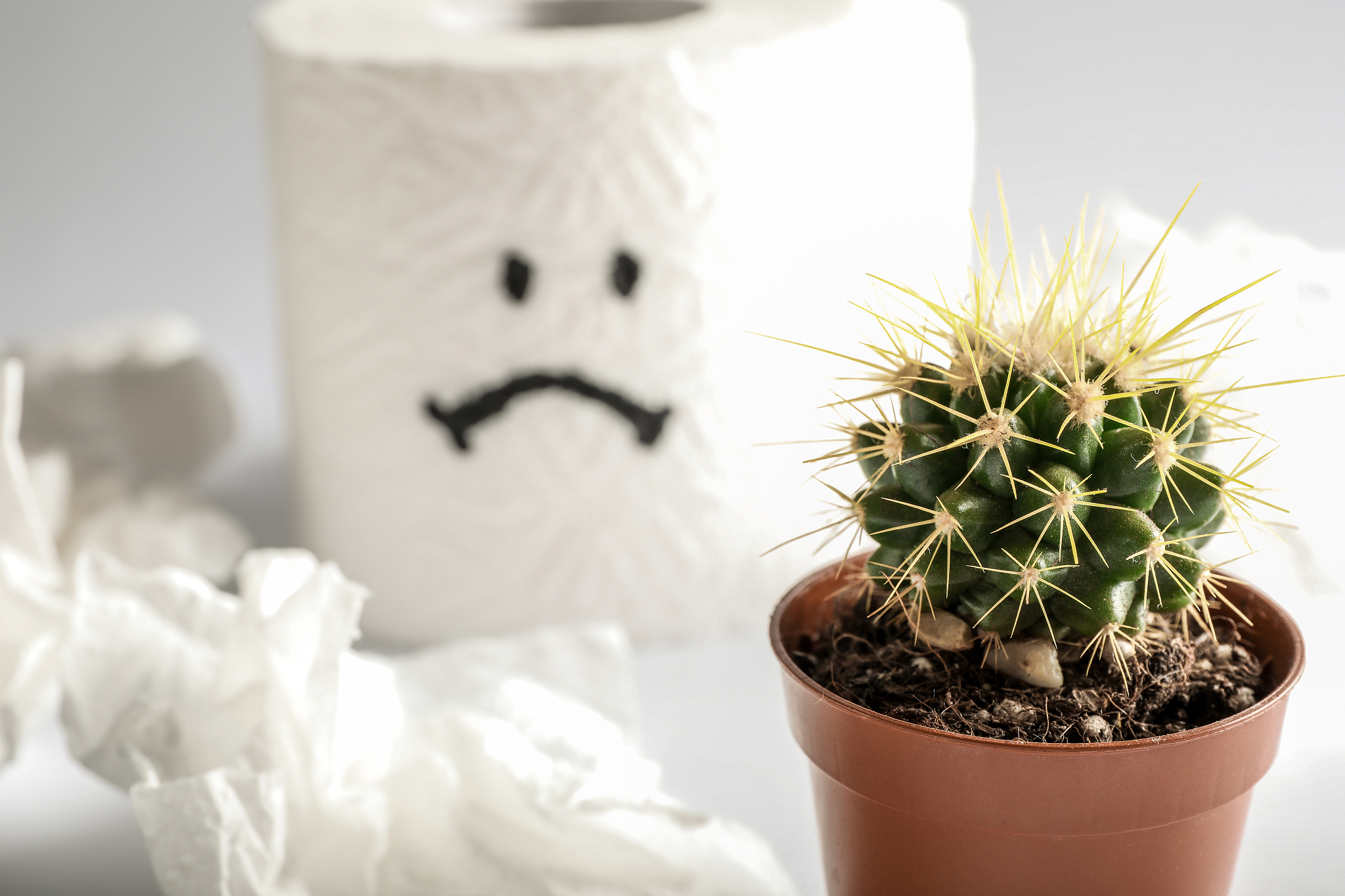 toilet paper roll with sad smile and cactus