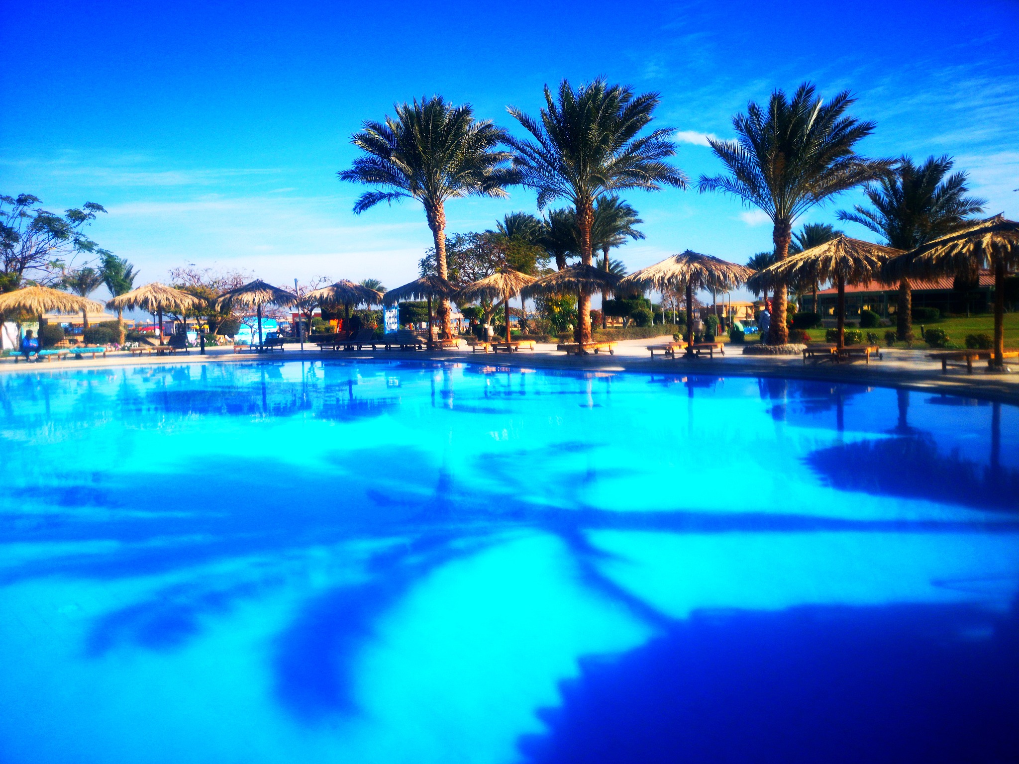 翻译：Mandarin-Oriental-Punta-Negra-Mallorca-will-feature-131-guestrooms-including-44-suites-and-nine-bungalows-located-just-a-few-steps-from-the-waterfront-The-spacious-accommodation-will-provide-full-or-partial-sea-views-outdoor-terraces-or-balconies-