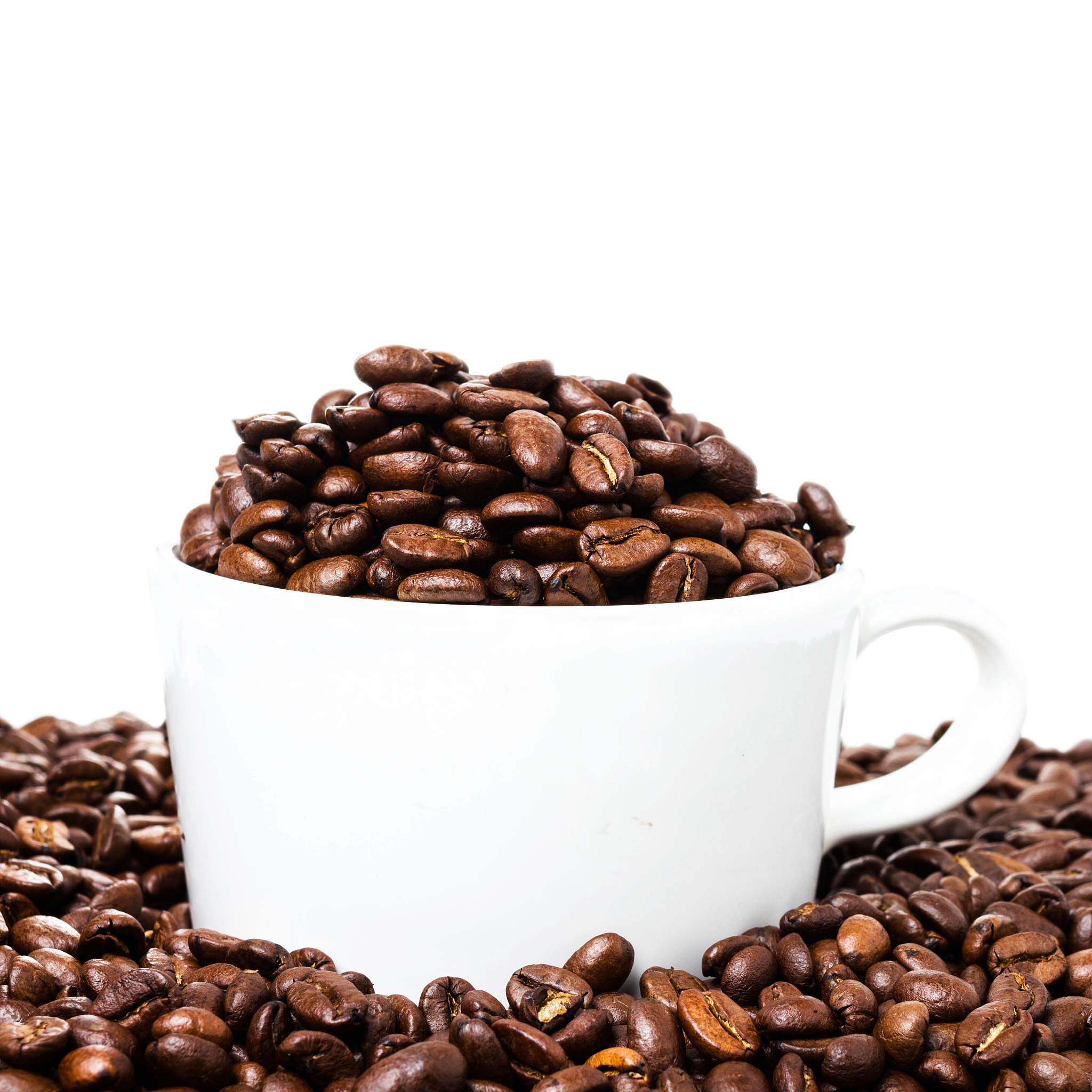 coffee  beans isolated on white background with copyspace for te