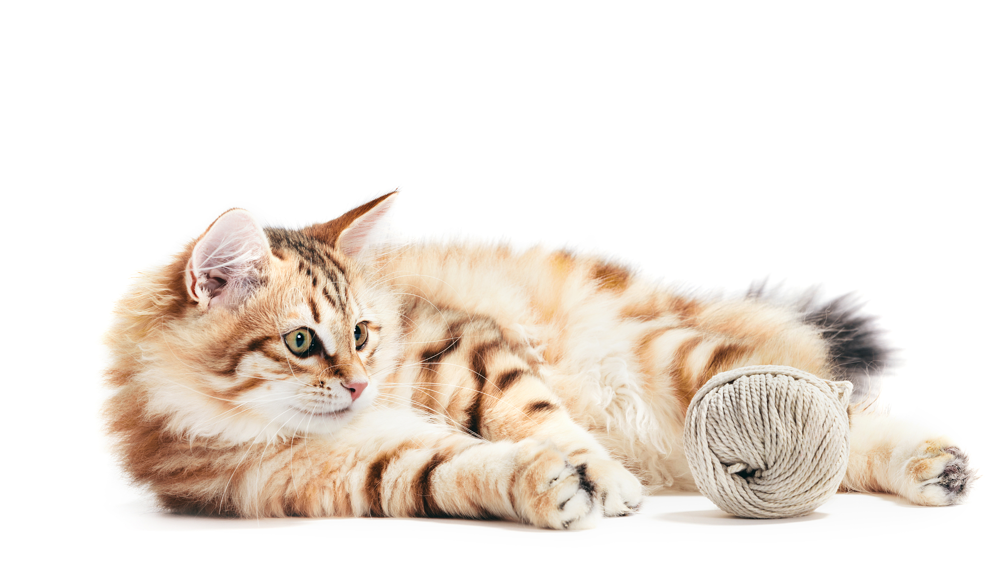 yarn build 和yarn dev区别