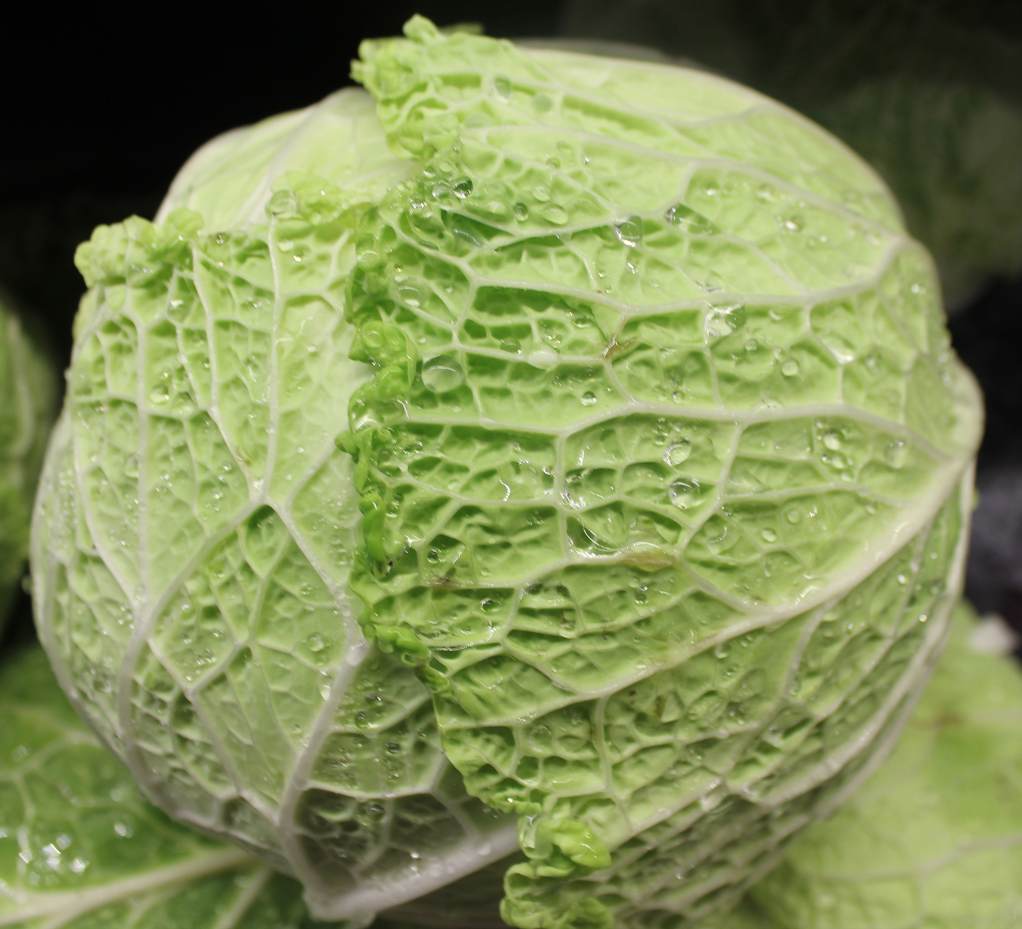 蔬菜供应链管理平台：连接供应商和采购商，高效便捷