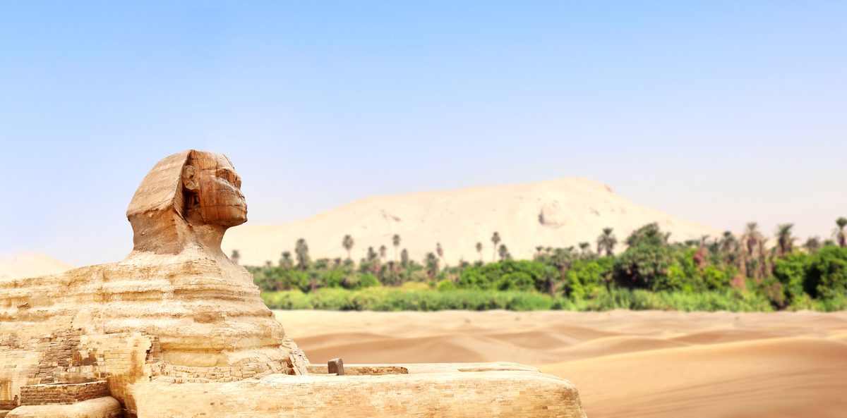 世界古代史近代史的经济政治文化