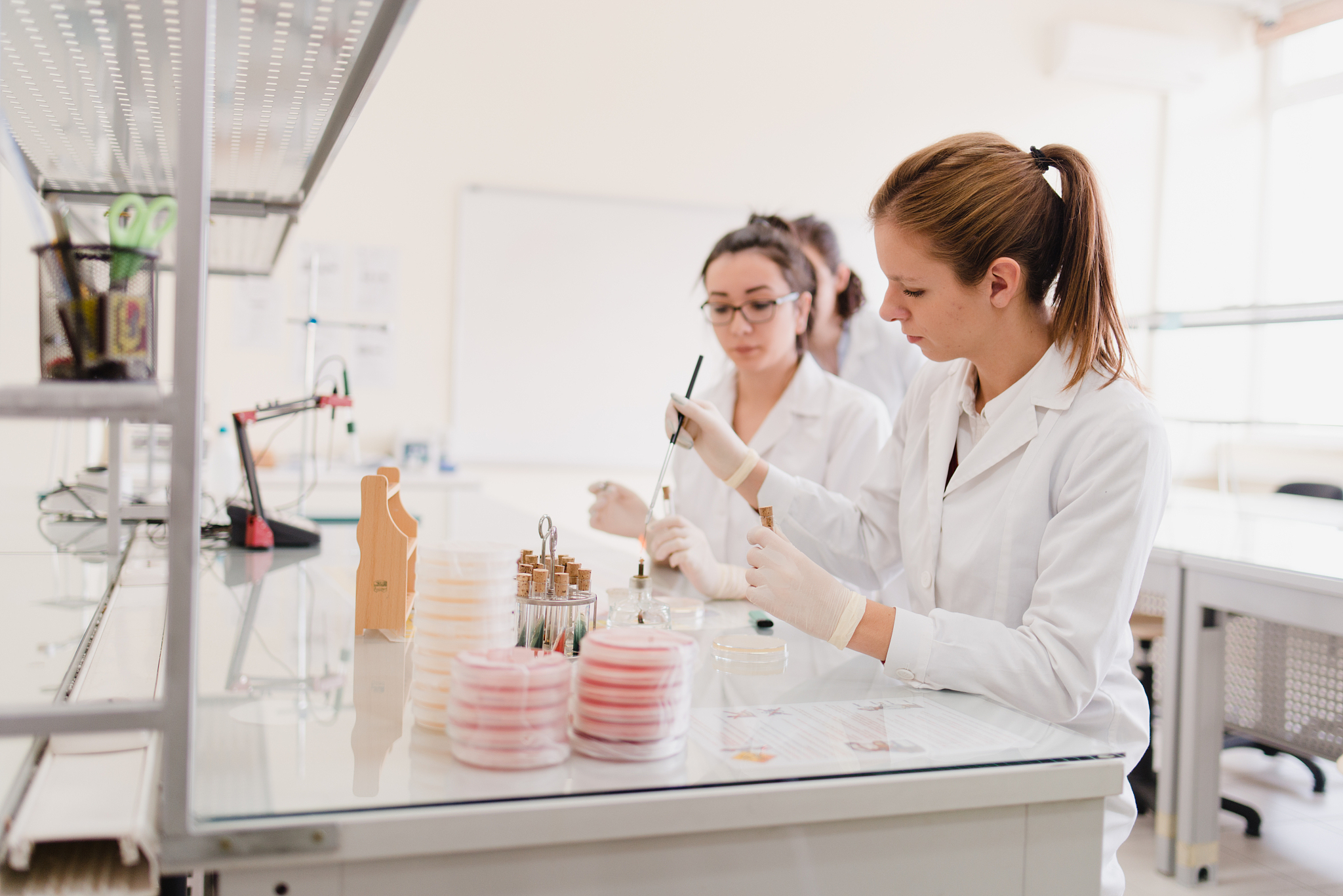 广西科技大学汽车服务工程专业涉及哪些课程