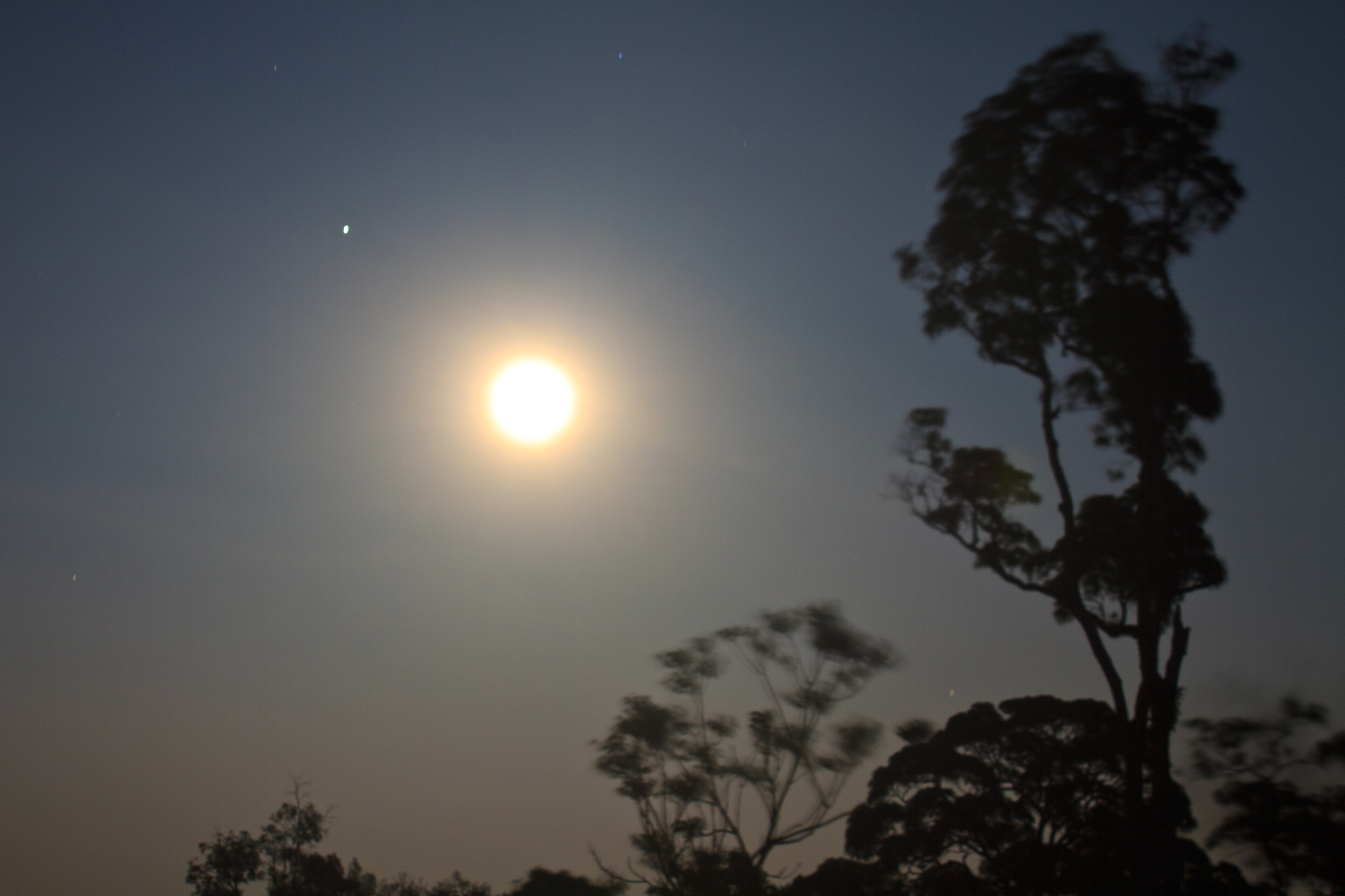 full moon at night