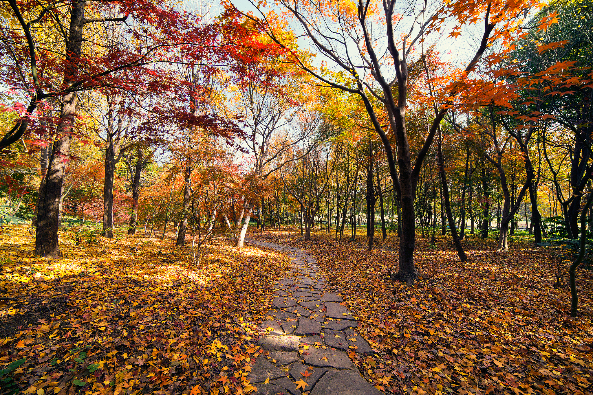 秋日漫步：与妈妈共赏美景