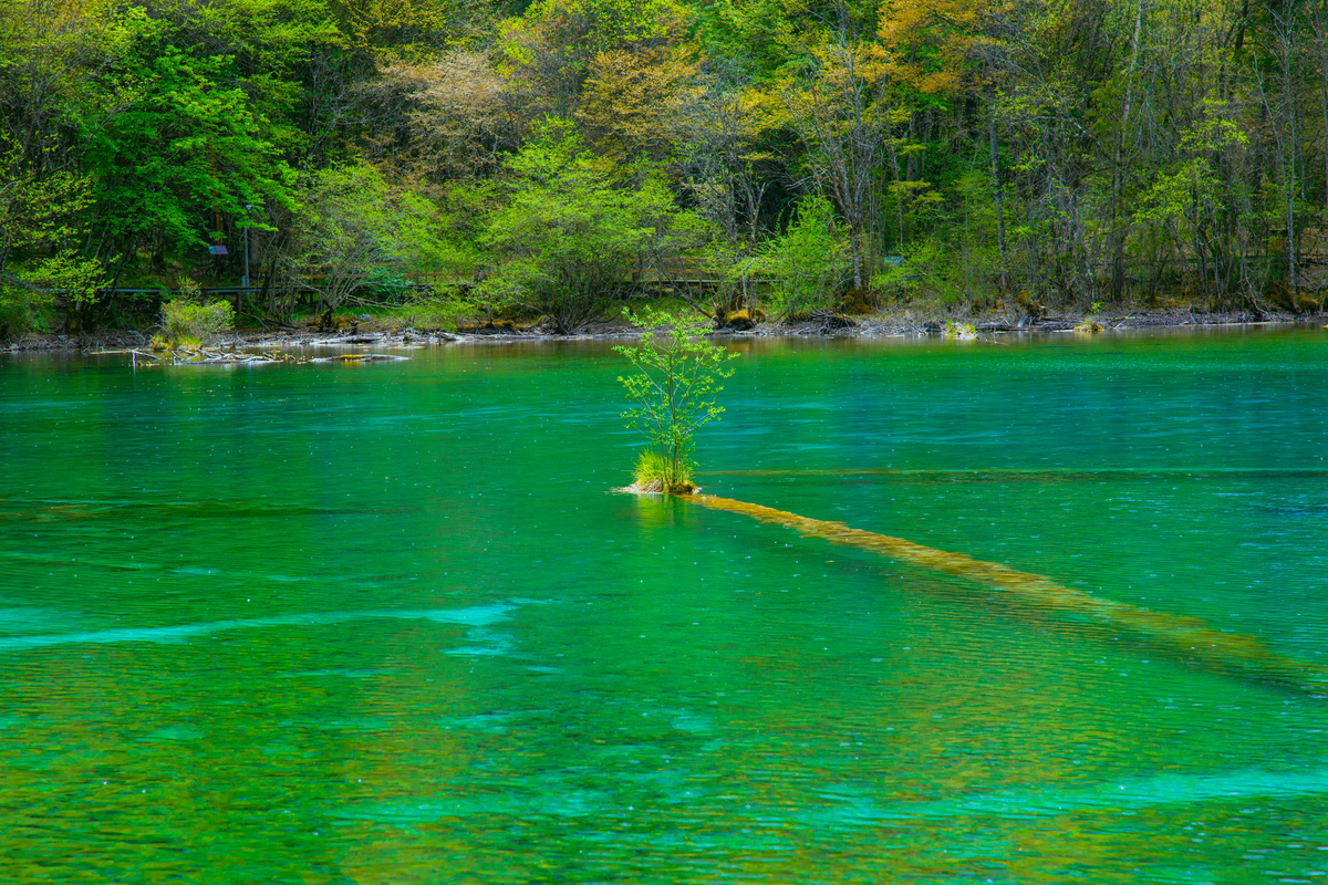四川家乡美：自然奇观、文化宝藏、热情人民