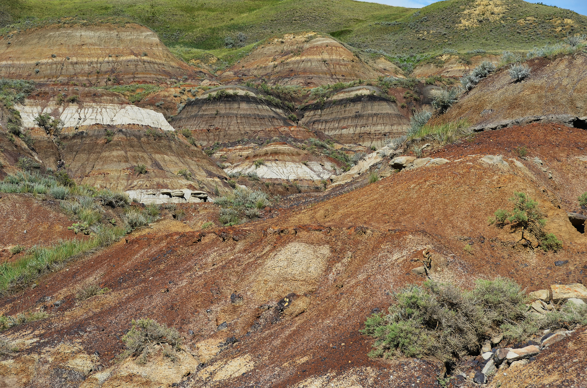 大别山典型地区不同地质建造水土流失模式极影响因素探讨