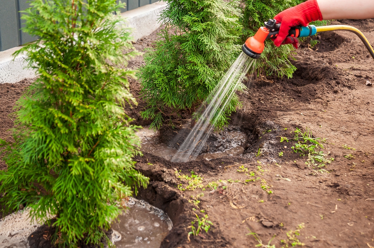 绿化养护组织措施