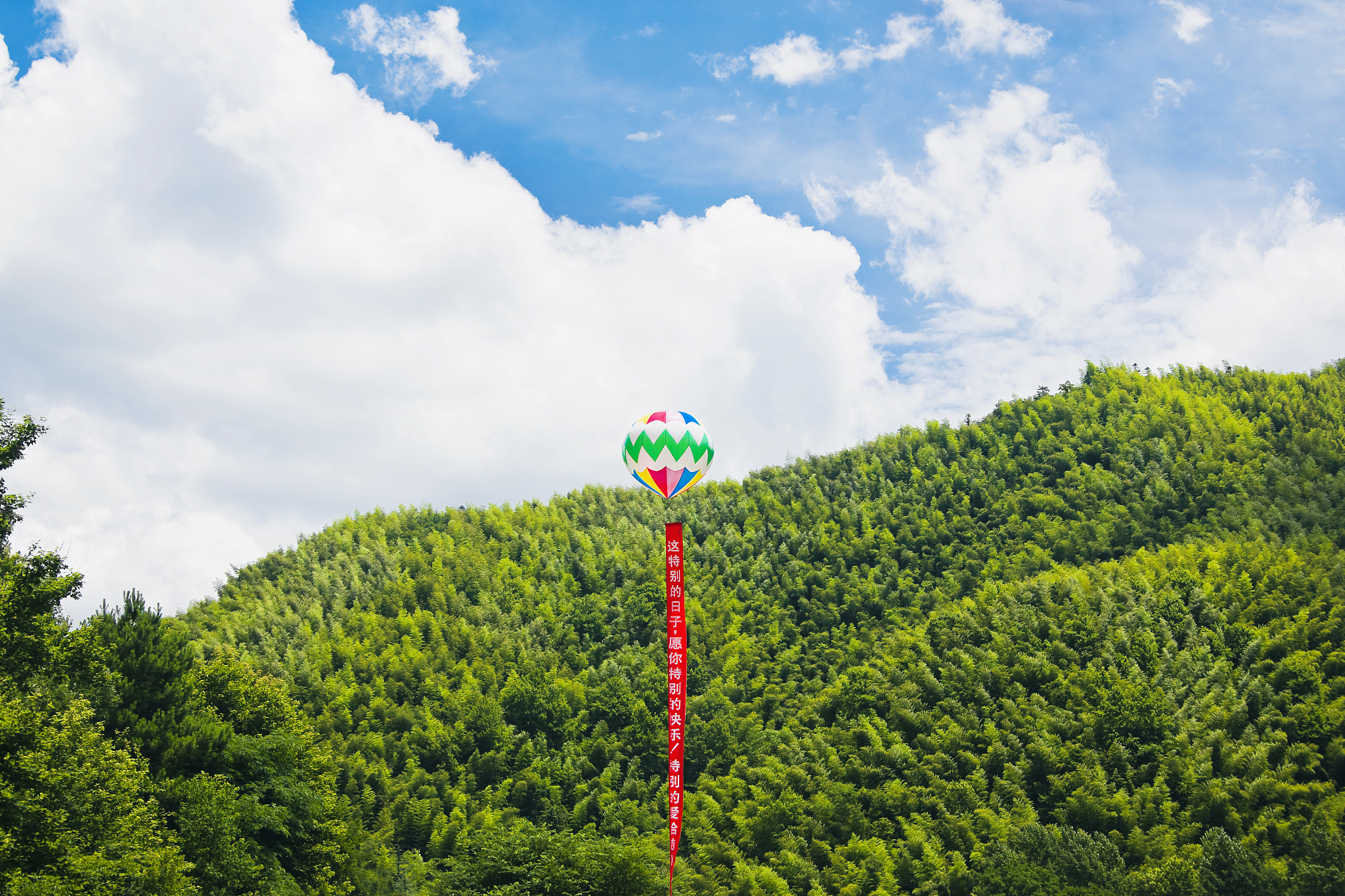 chinese lantern over trees, emerald valley, huangshan, anhui pro