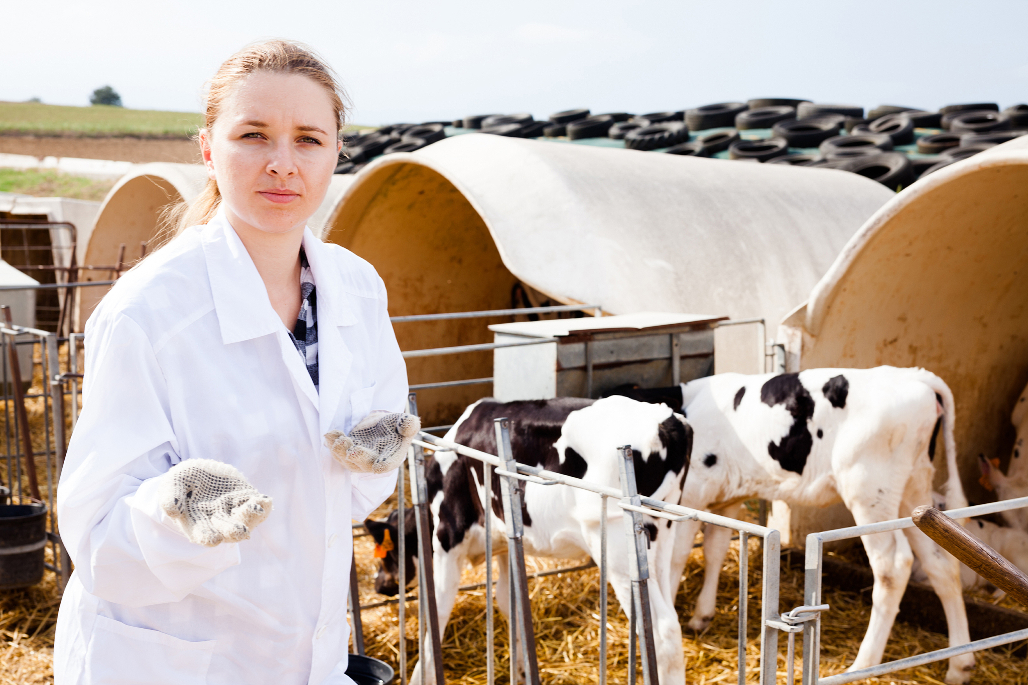 上海市农业学校动物科学技术系：培养动物科学技术人才的摇篮