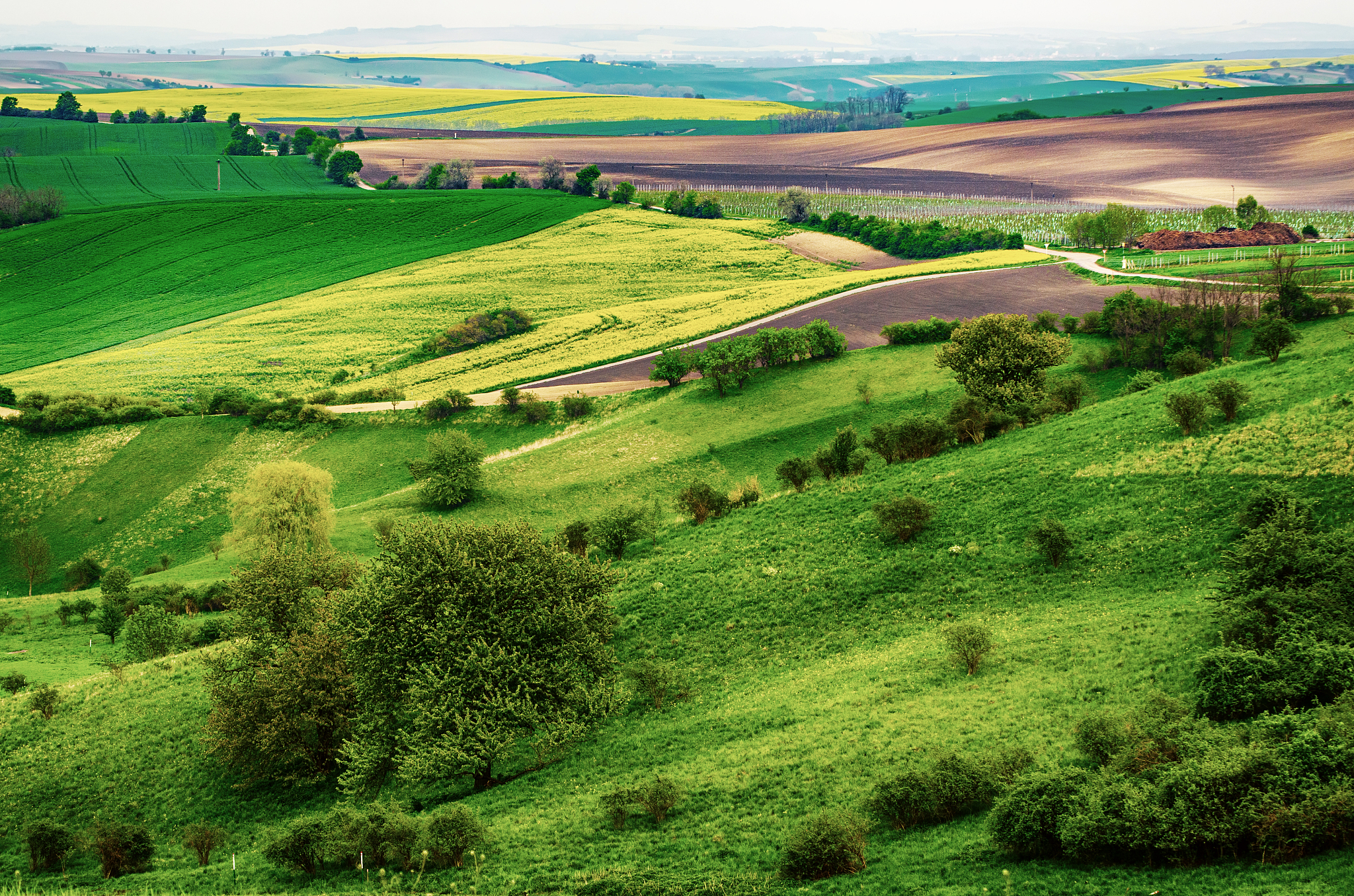 rural spring landscape